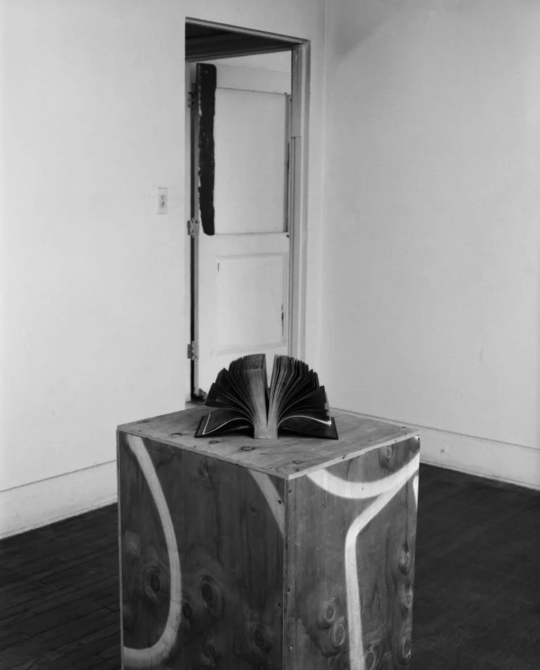 Joel Freeman, “Rhodes Falls”