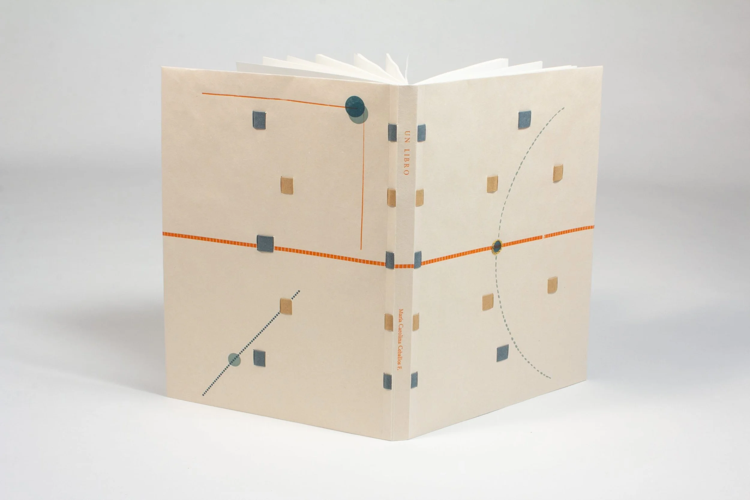 María Carolina Ceballos