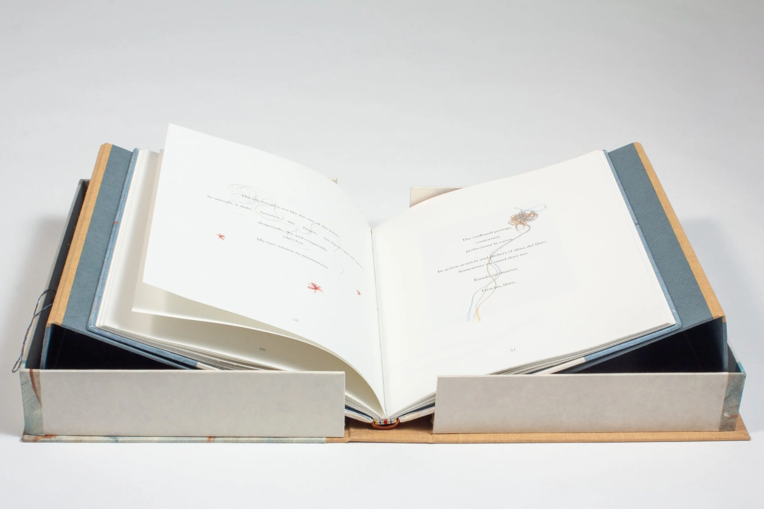 María Carolina Ceballos