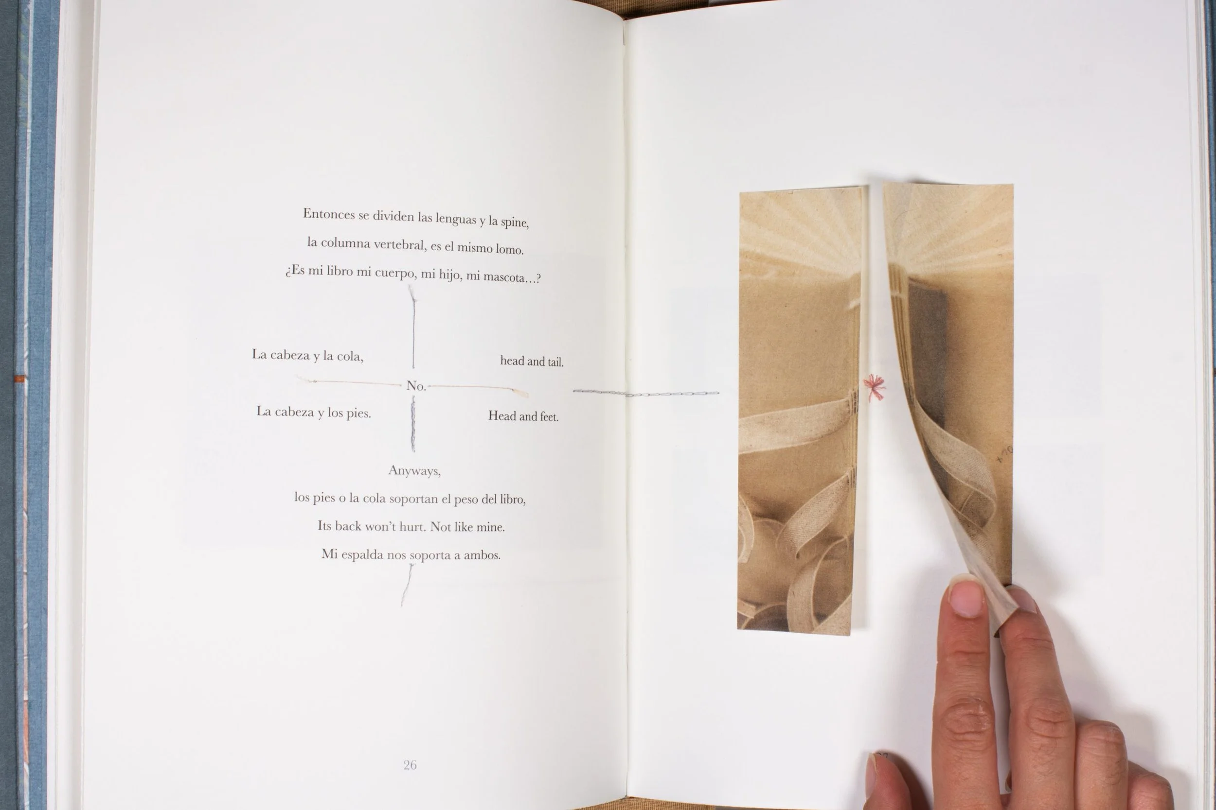 María Carolina Ceballos