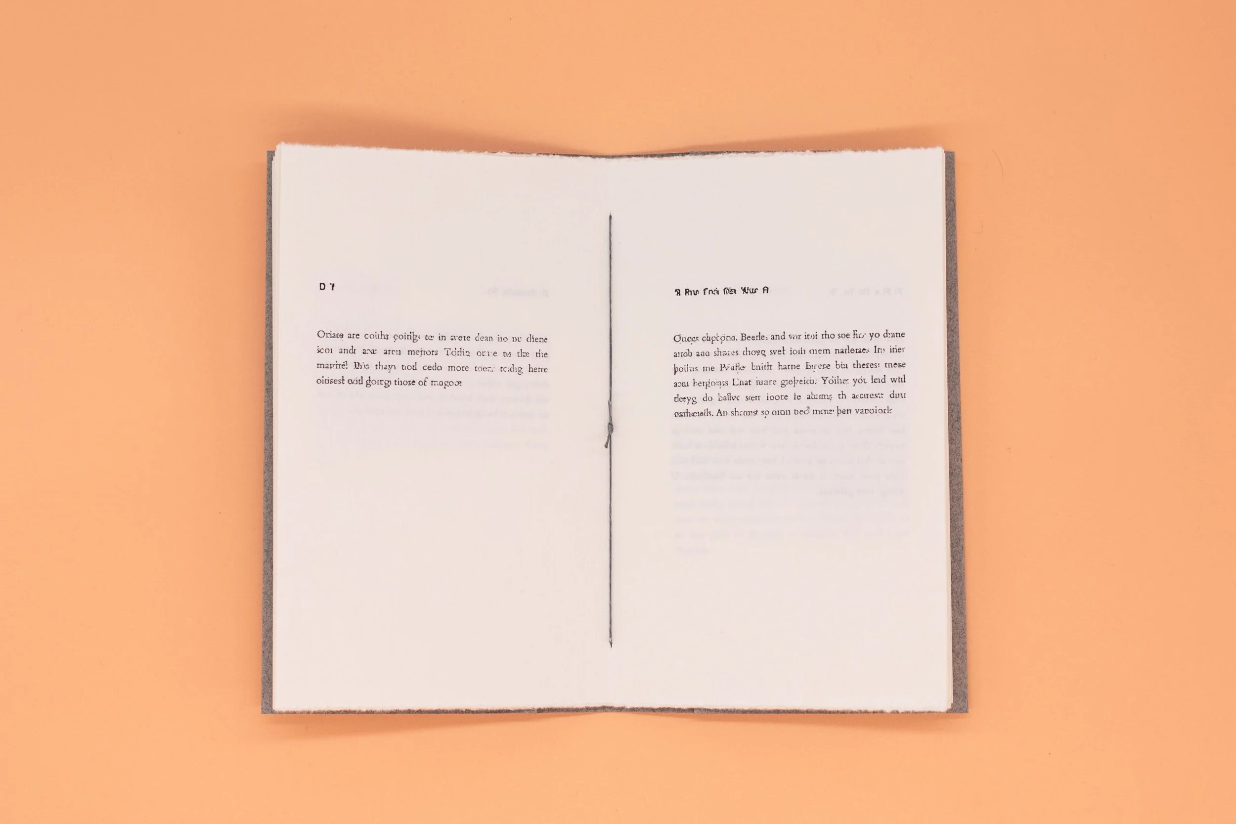 Allison Parrish &amp; James Ryan