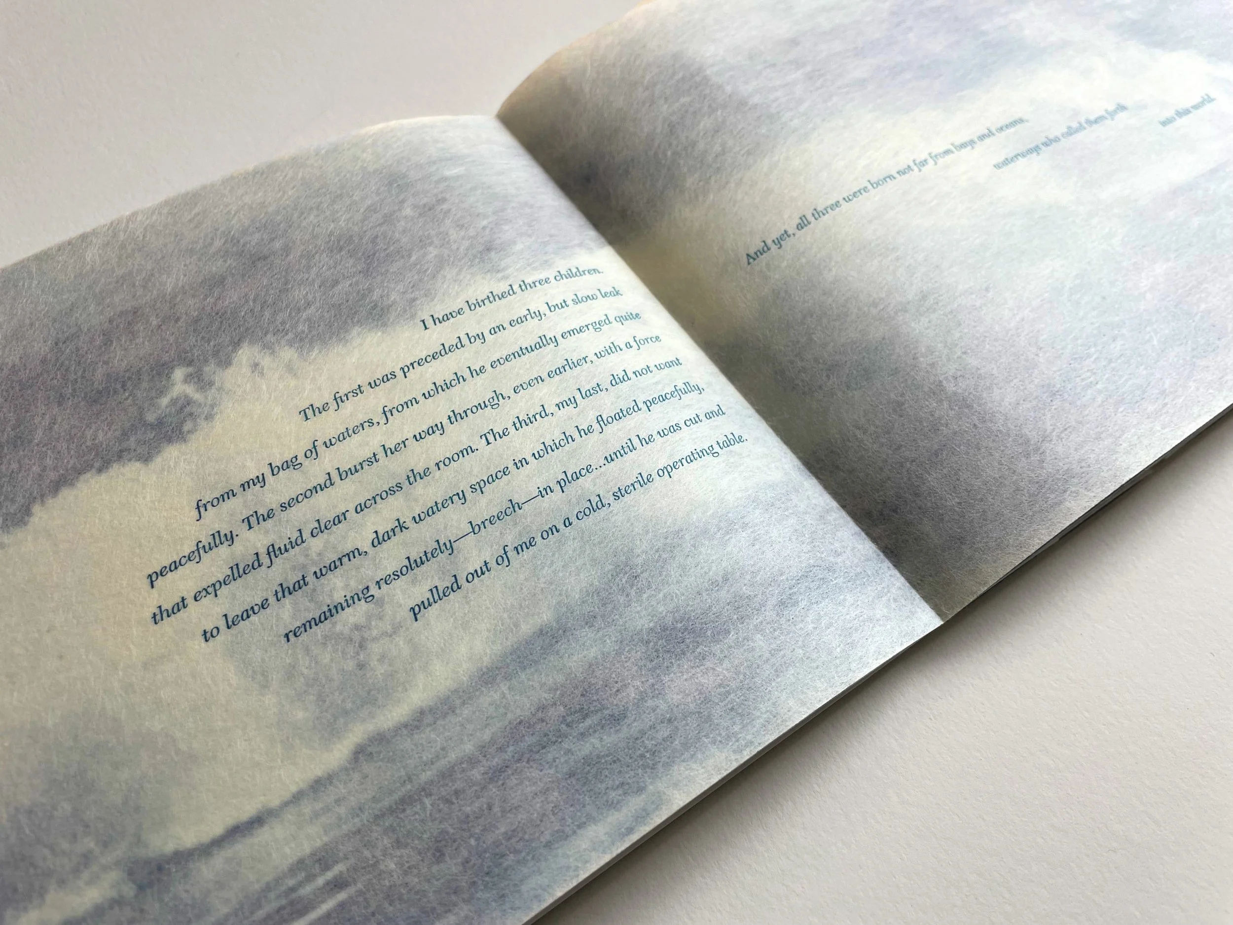 Camden Richards, Deborah Sibony, &amp; Anne Hege