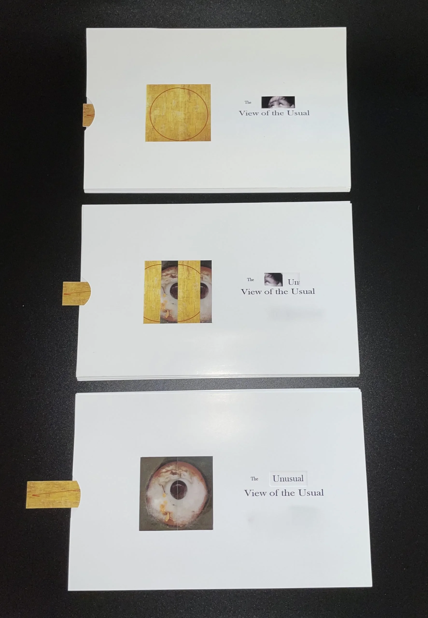 Joy Monice Malnar &amp; Frank Vodvarka 