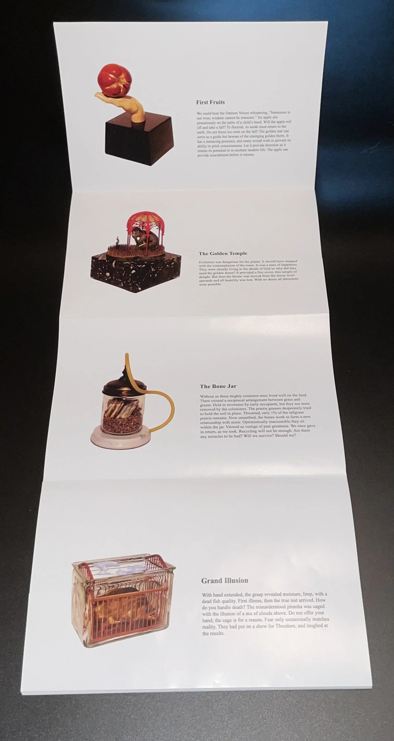 Joy Monice Malnar &amp; Frank Vodvarka 