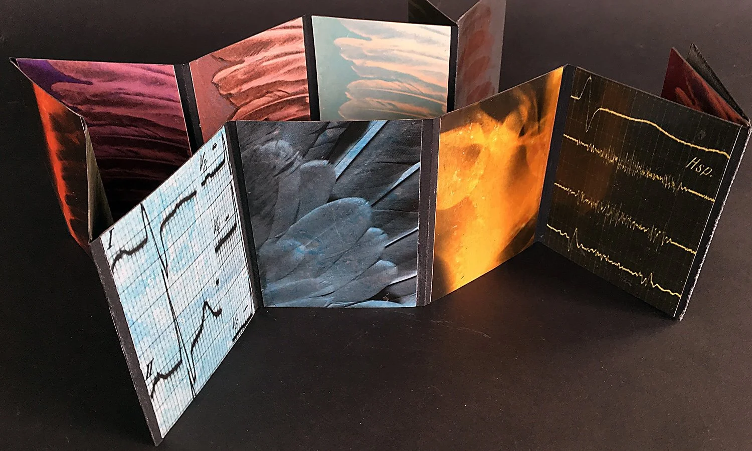 Hanoi &nbsp;Perez Cordero