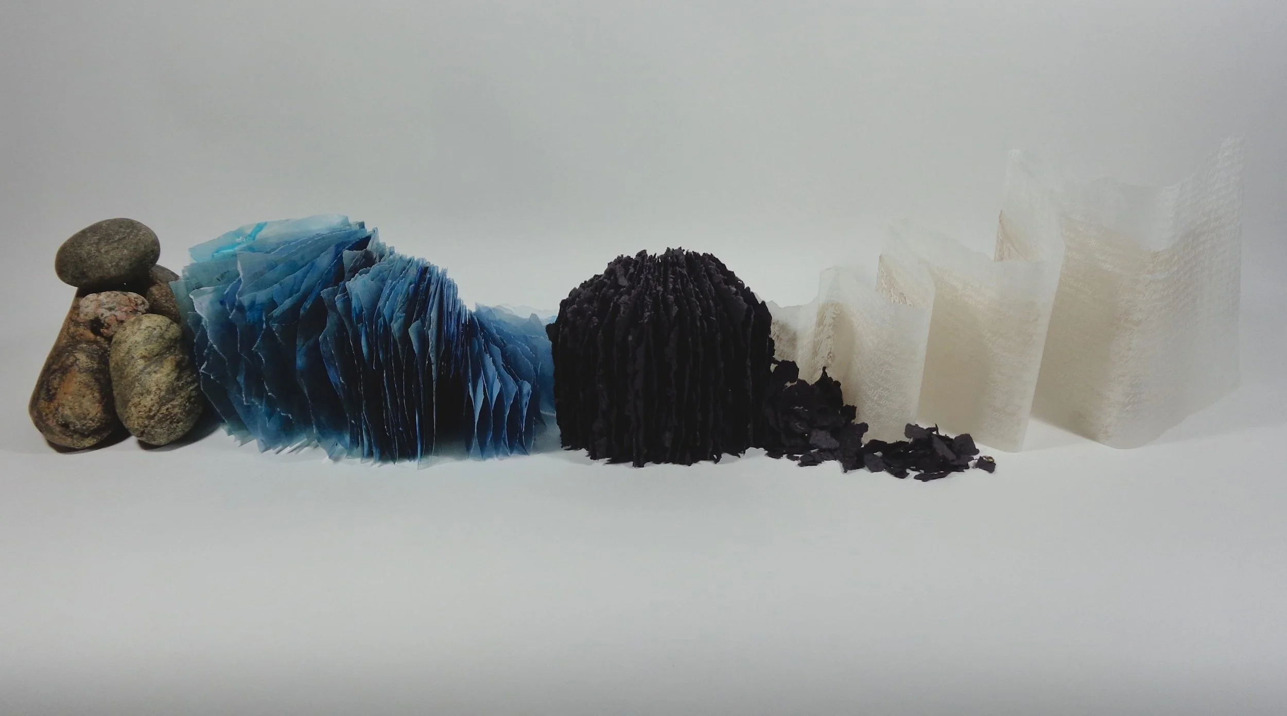 Jennifer Rose Wolken