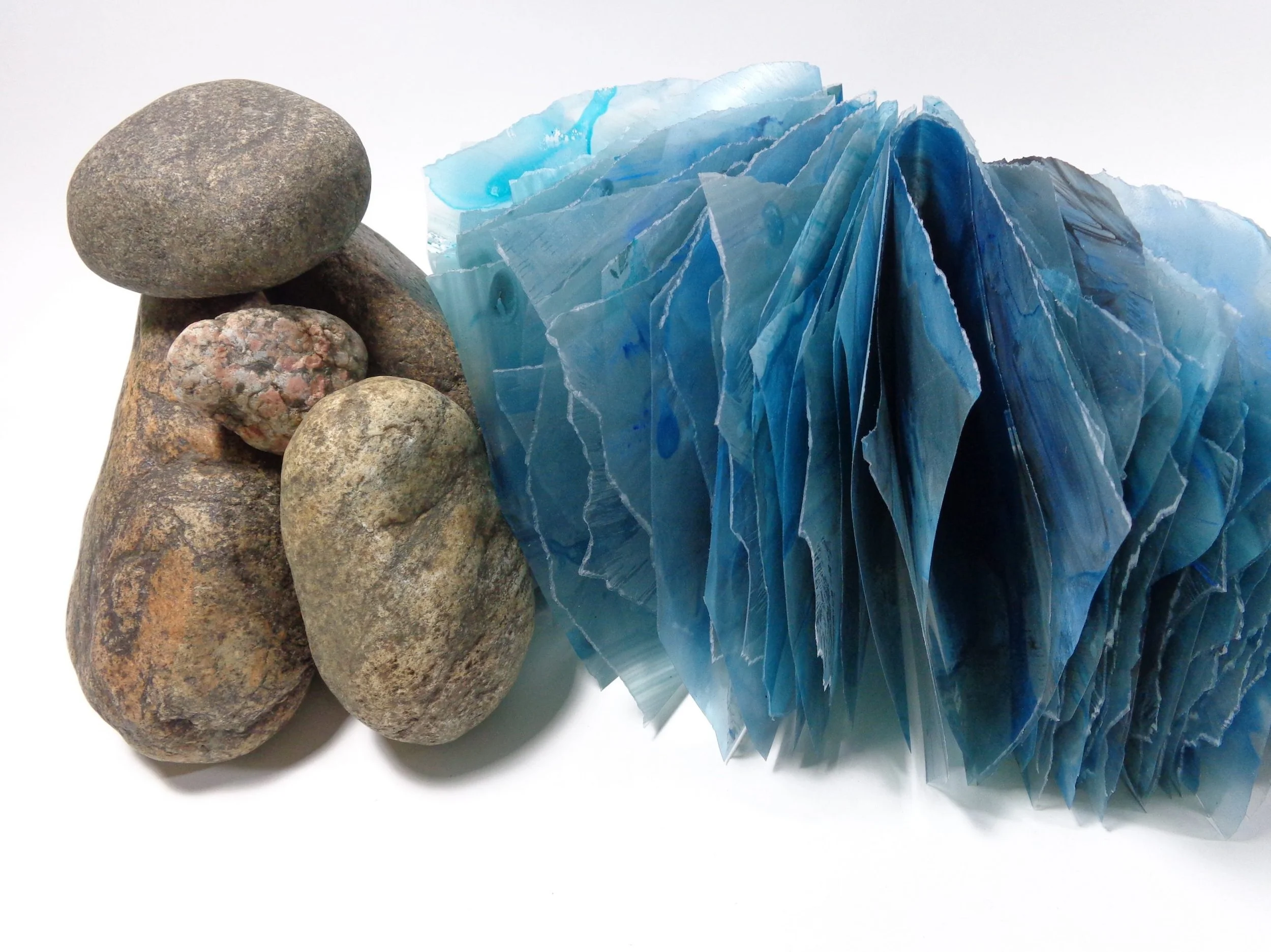 Jennifer Rose Wolken