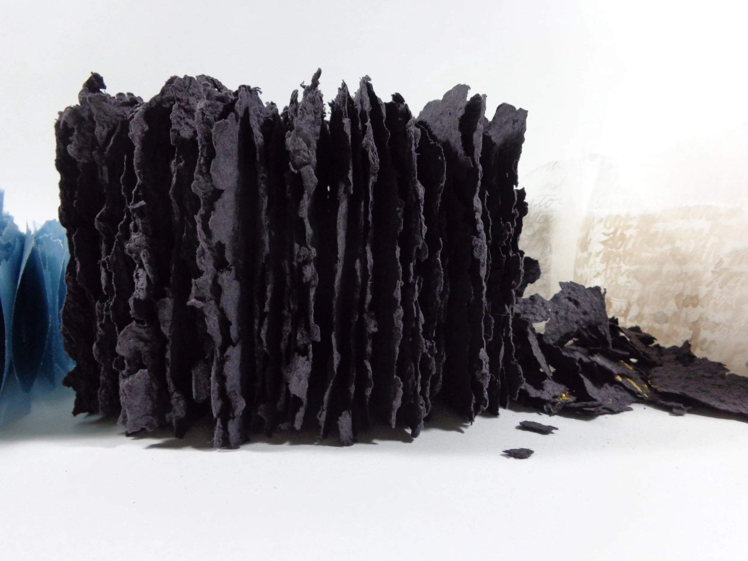 Jennifer Rose Wolken