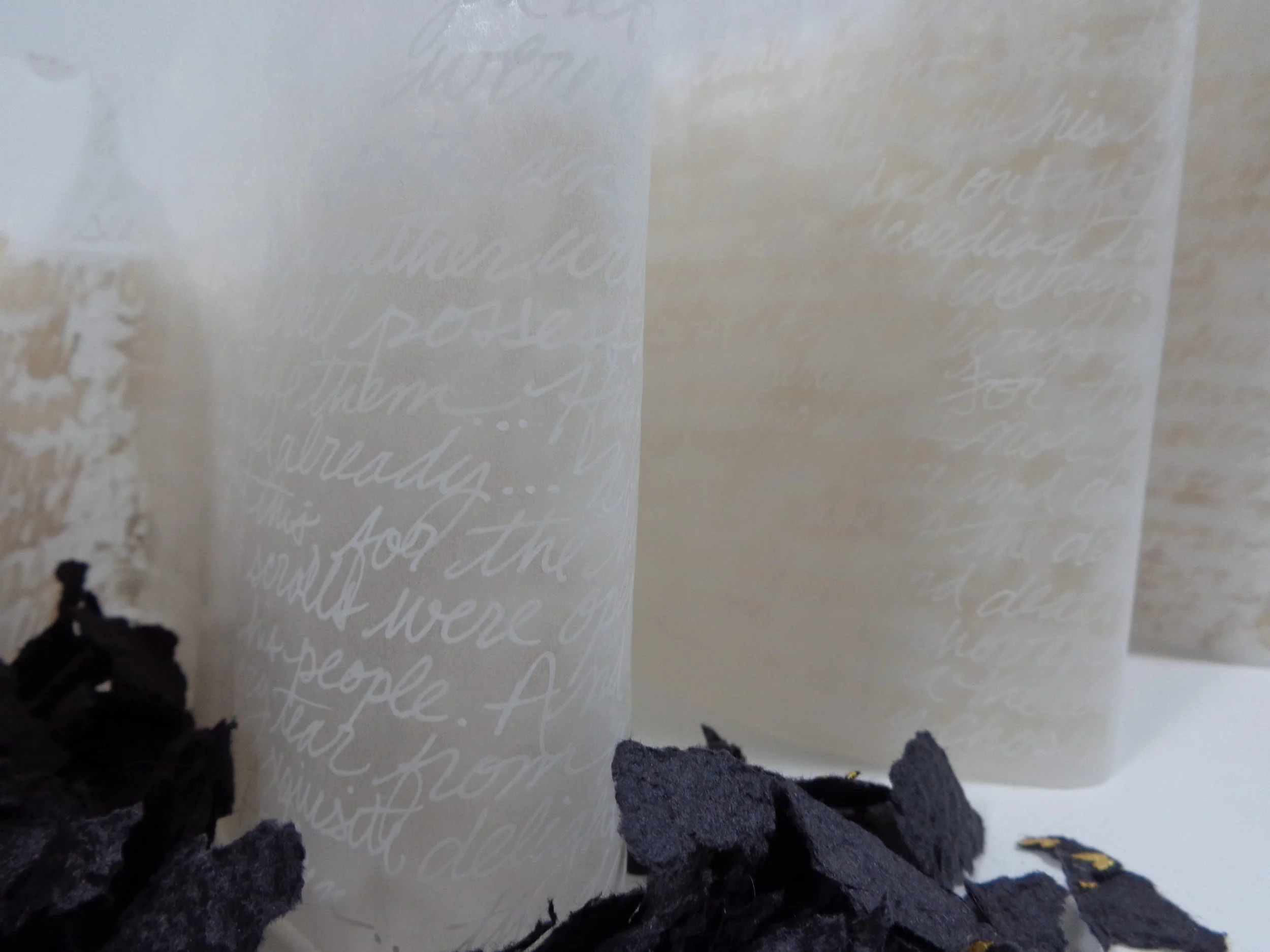 Jennifer Rose Wolken