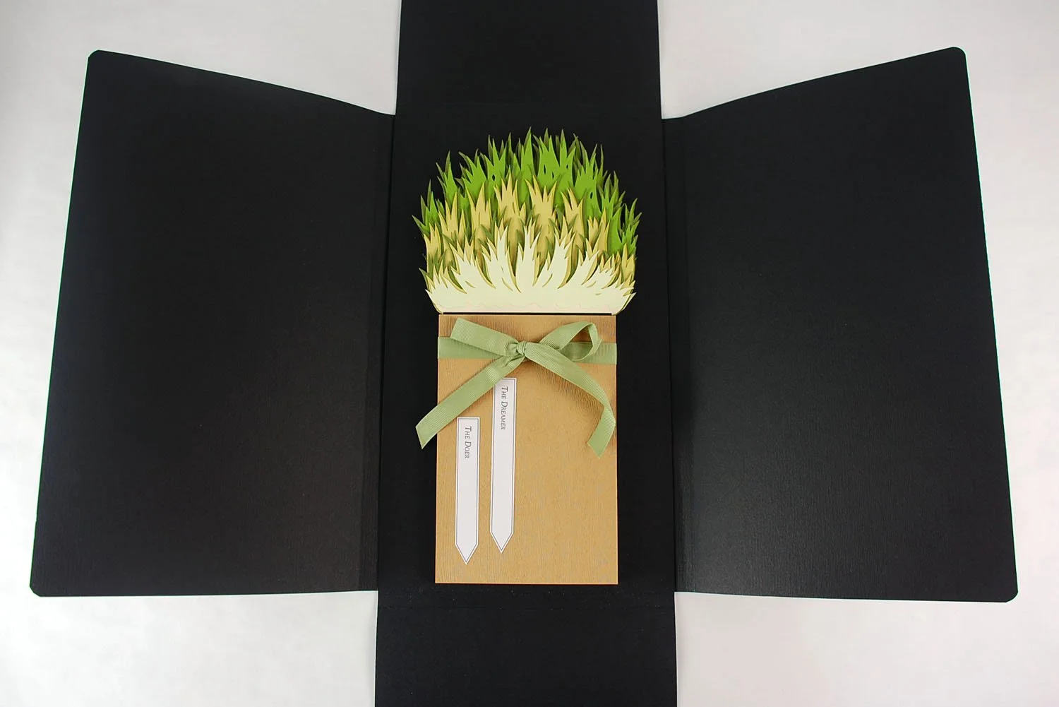 Lyall Harris and Patricia Silva