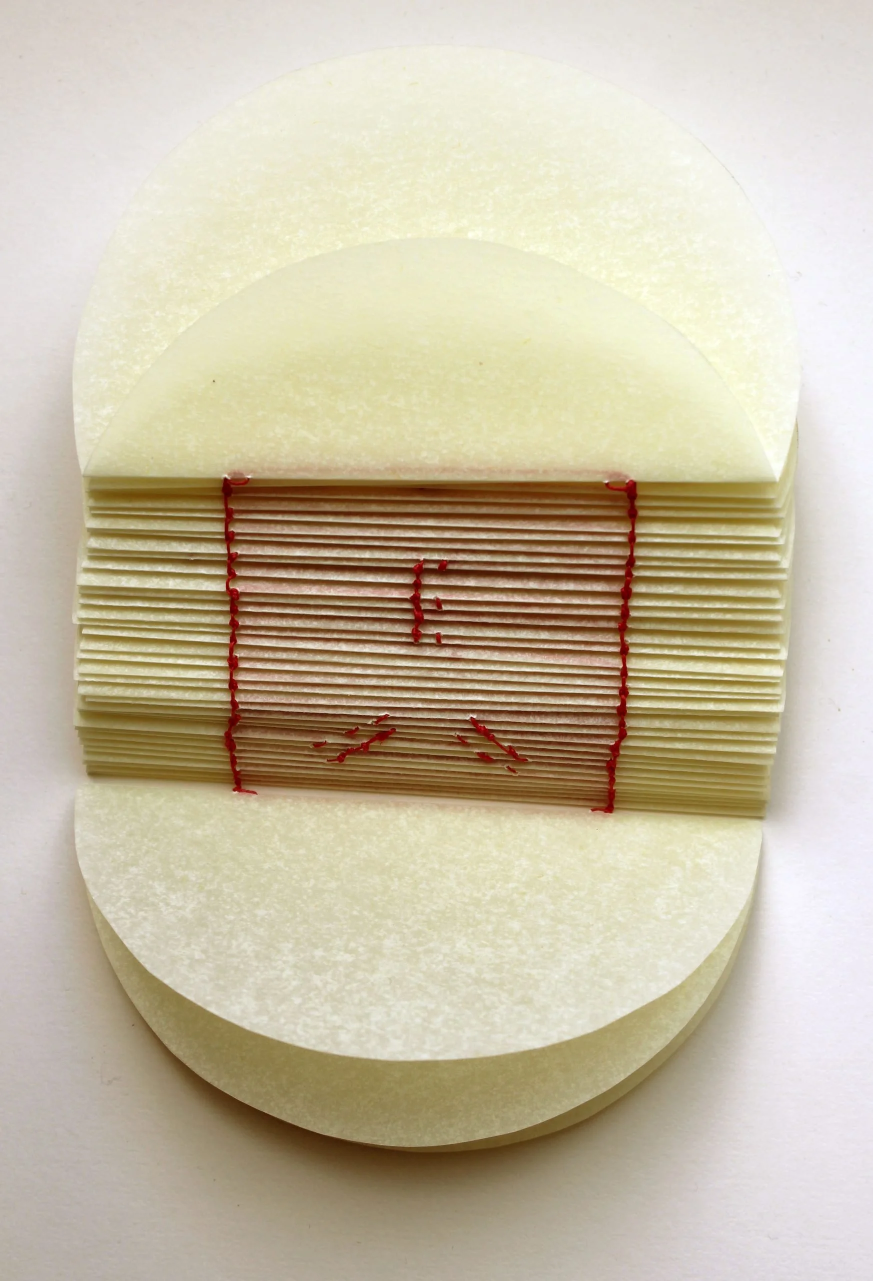 Christine Pereira-Adams