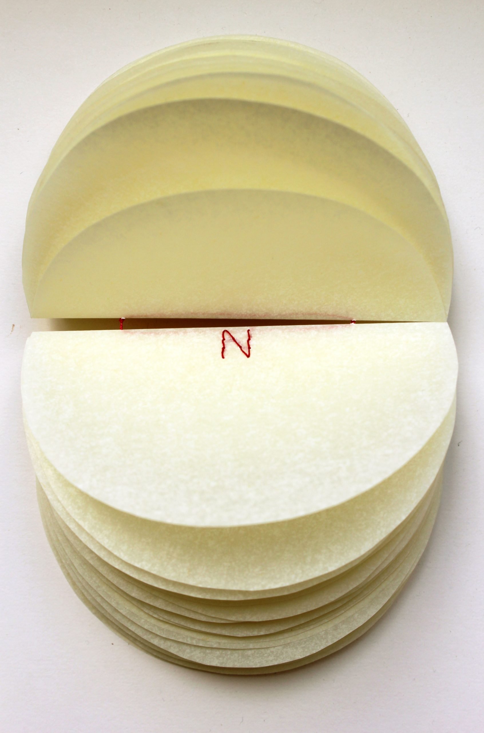 Christine Pereira-Adams