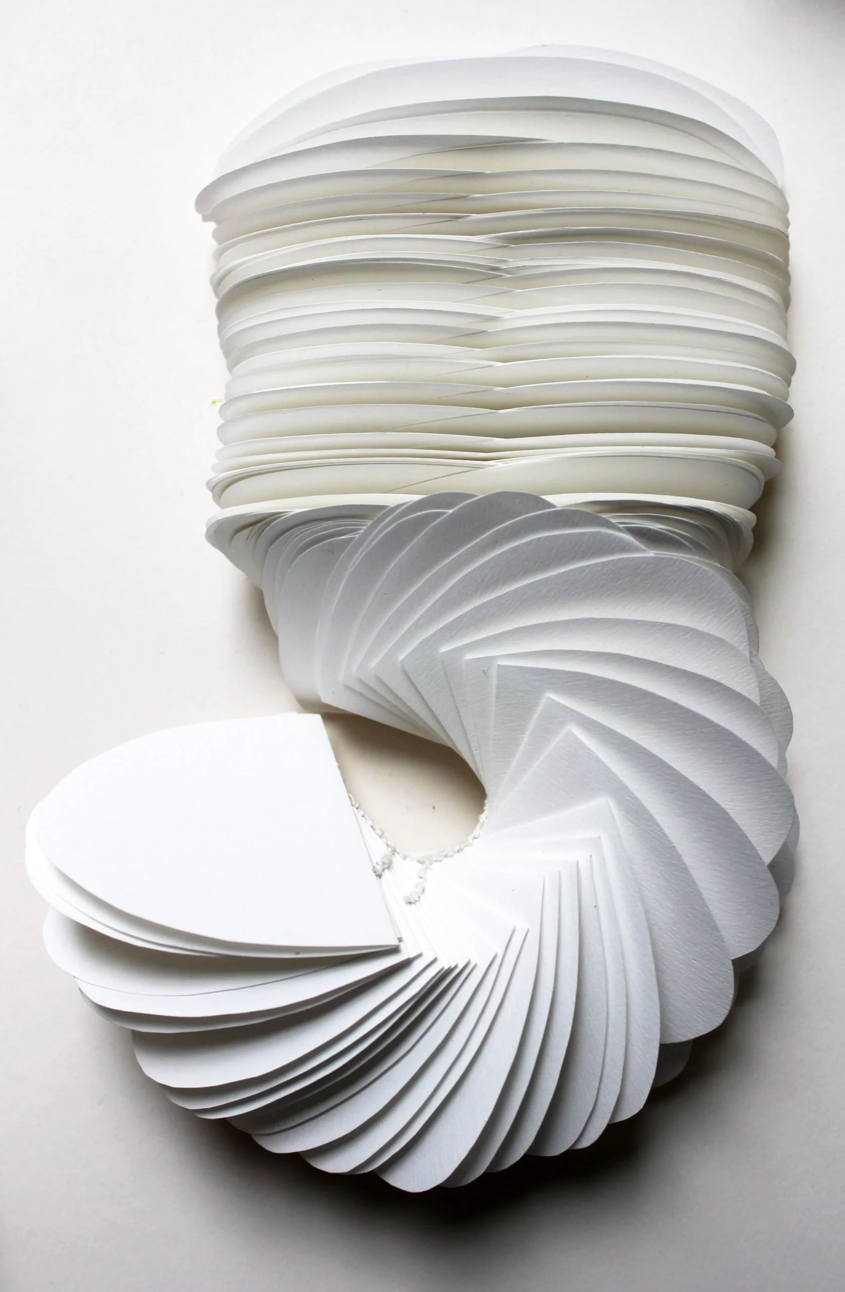 Christine Pereira-Adams