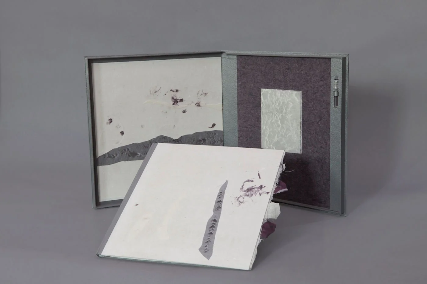 Robbin Ami Silverberg