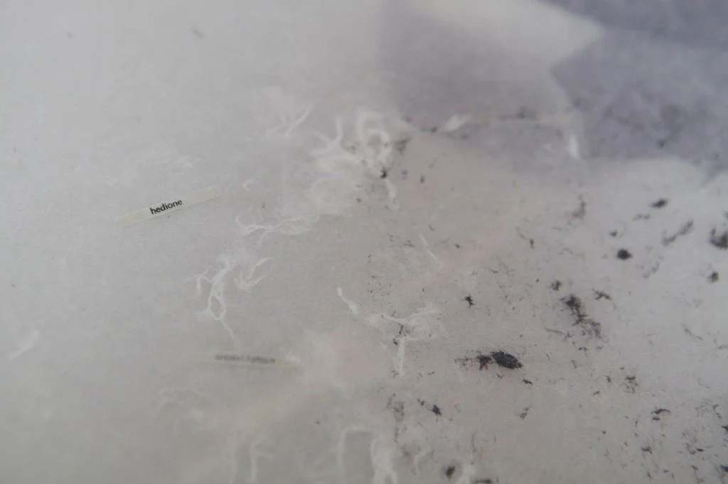 Robbin Ami Silverberg