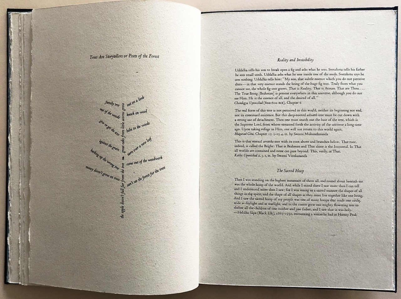 mcba-prize-2026-lisa-rappoport-tree-stories-1-resize.jpeg