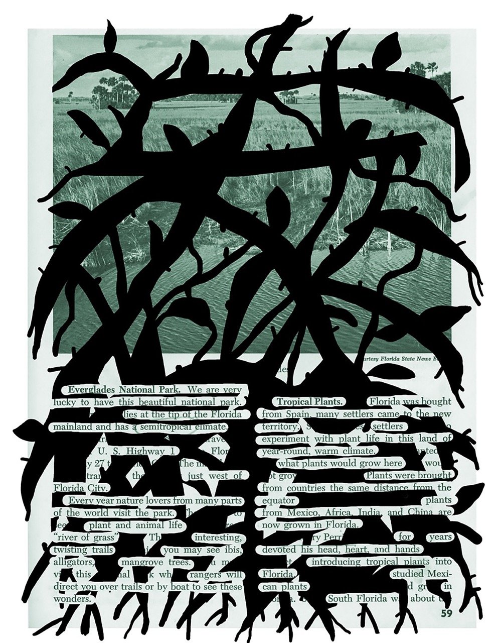 mcba-prize-2026-rachel-simmons-my-florida-2-resize.jpeg