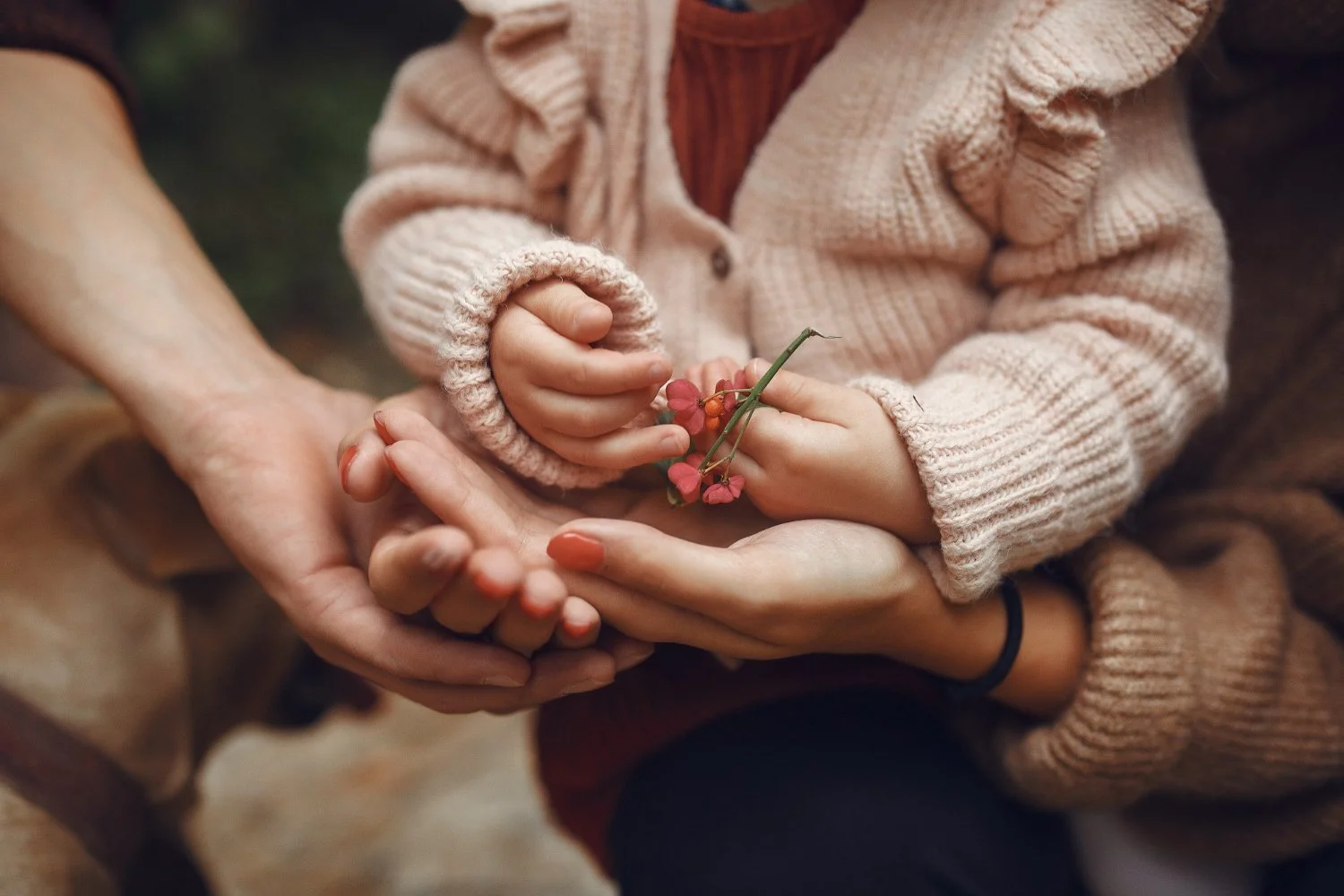 Close-up of a child's and an adult's hands holding a small branch with pink flowers.