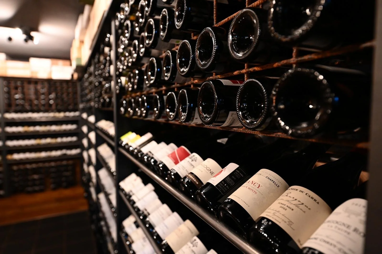 Présentation de bouteilles de vin sur une étagère dans une cave à vin.