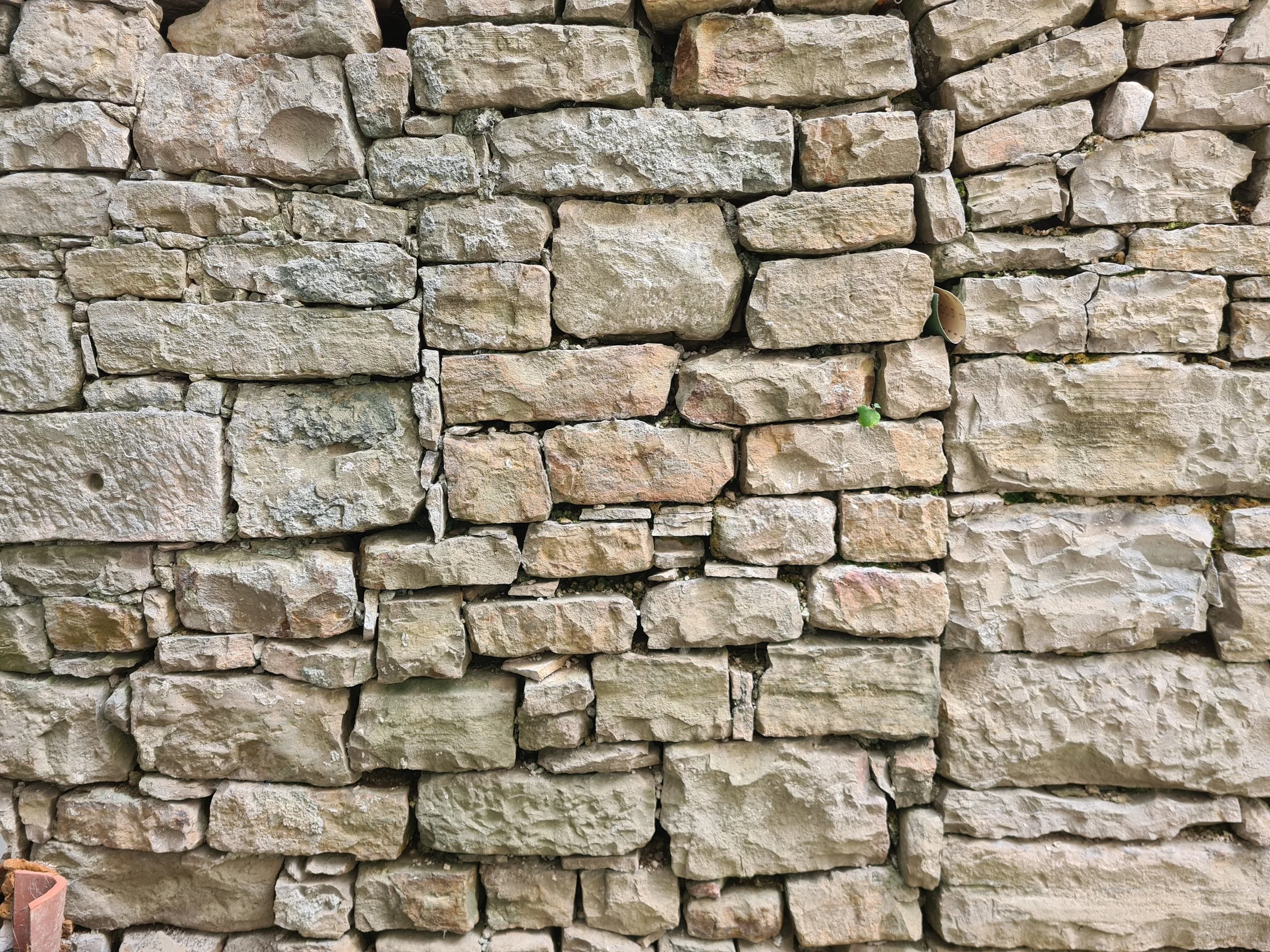 Close-up of a stone wall made of irregularly shaped beige and light brown stones, with visible mortar and some small green plants growing between the stones.