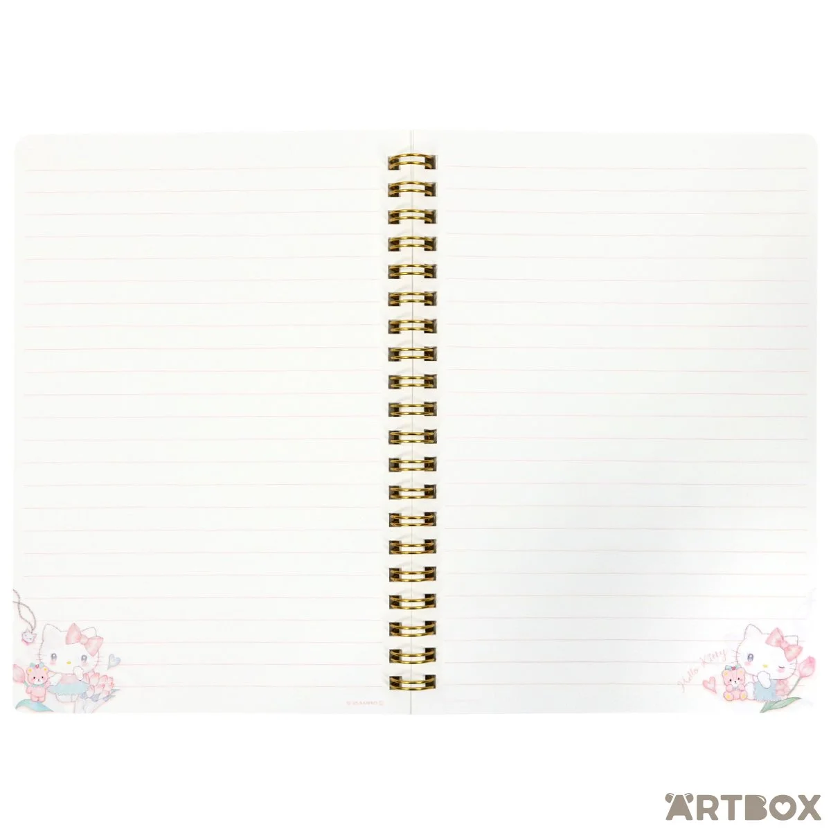 56621_Takei_Notebook B6_Hello_Kitty_2_1200.jpg