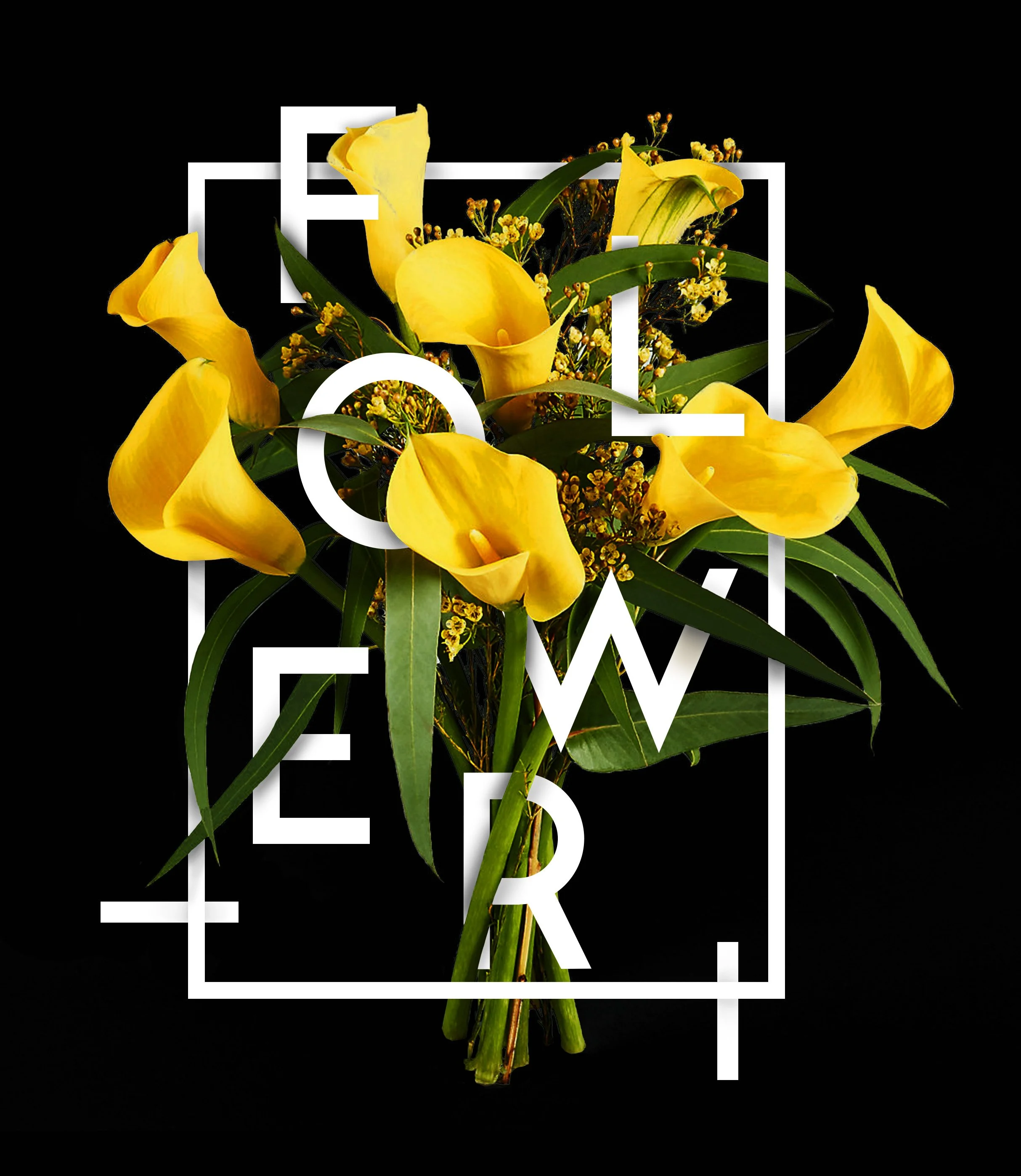 flower design Poster.jpg
