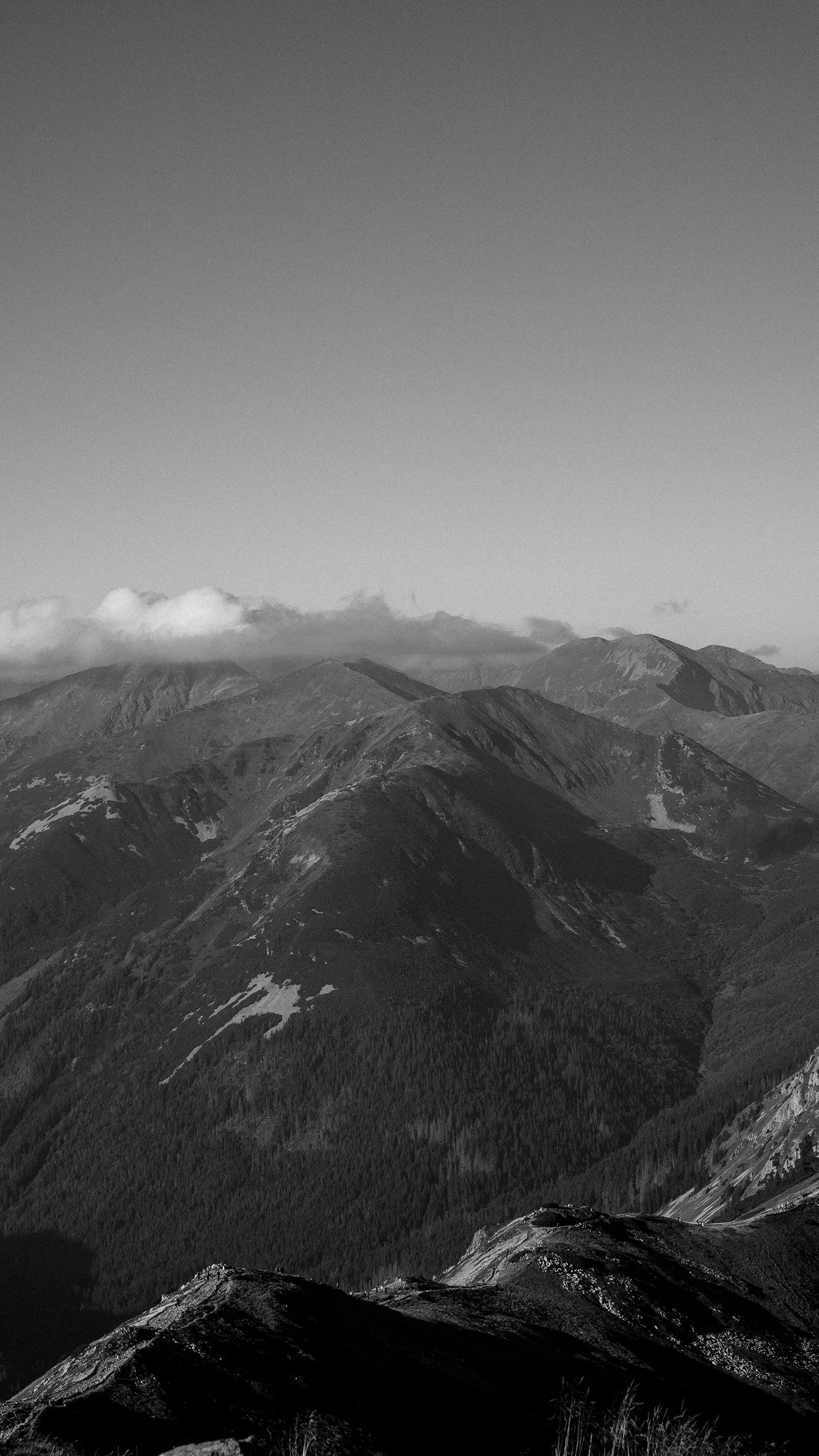 DSC09745 copy.jpg
