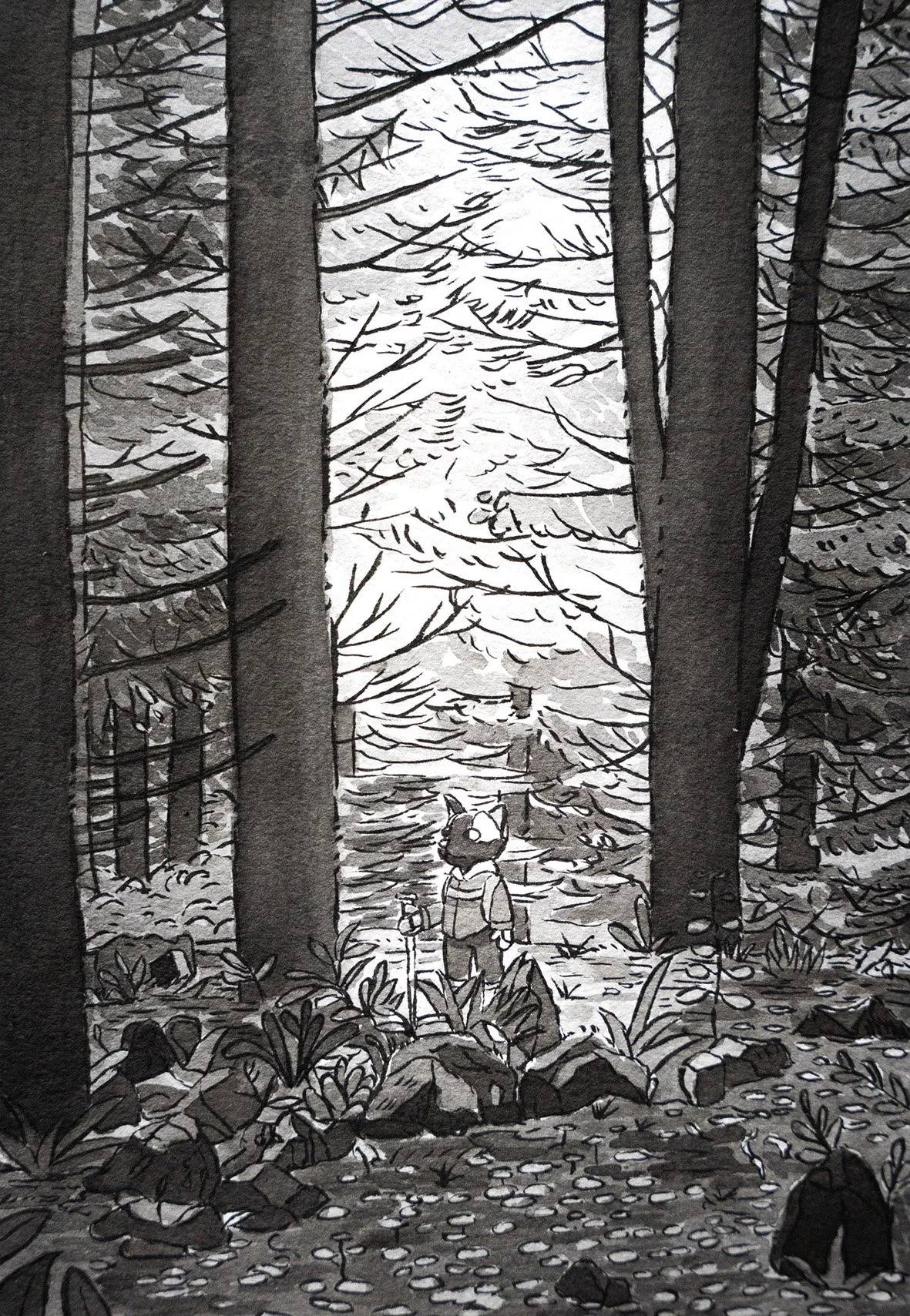 14 Day_Inktober 2024_Roam Low Res.jpg