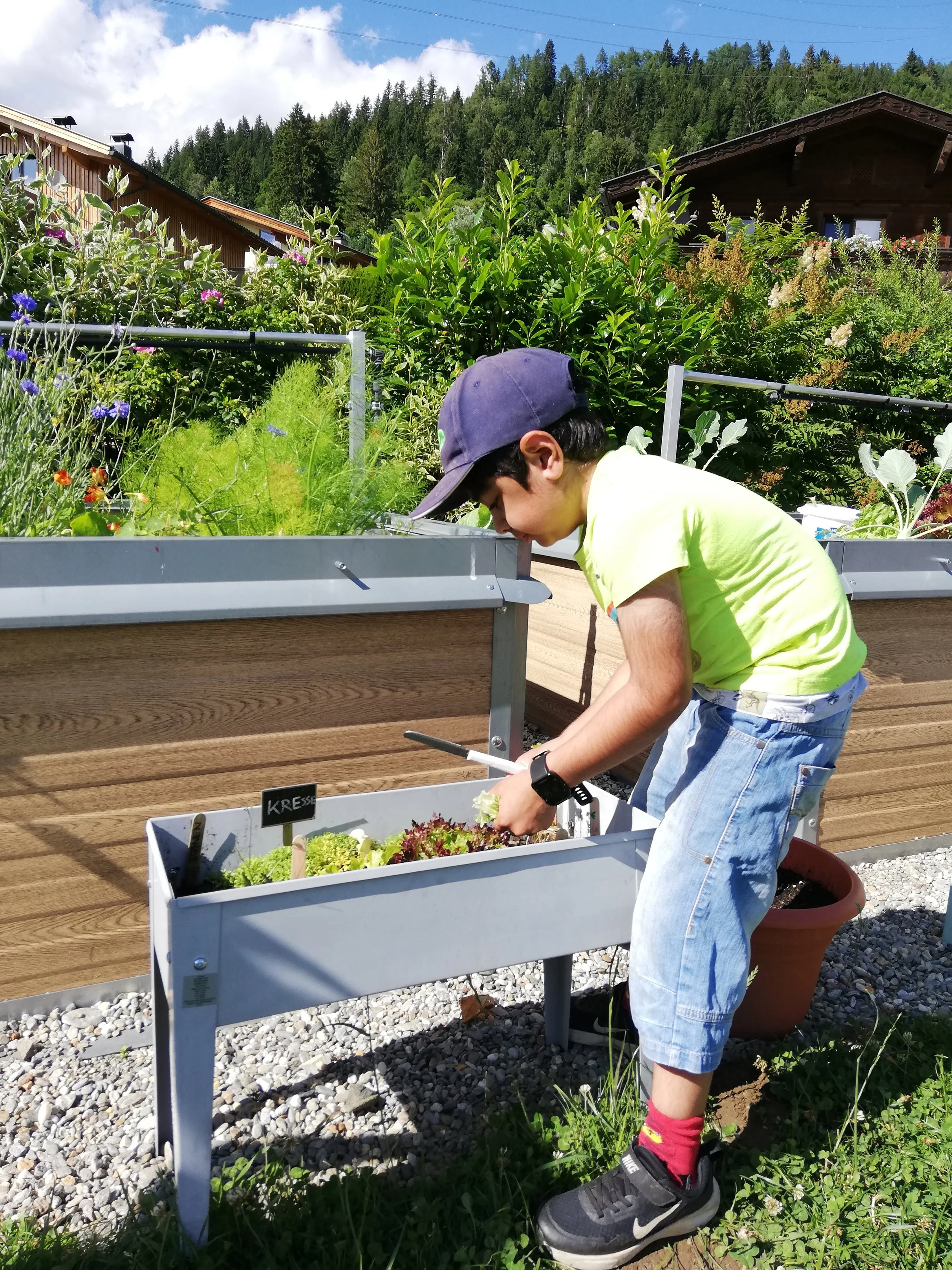 kleine Hochbeete5.jpg