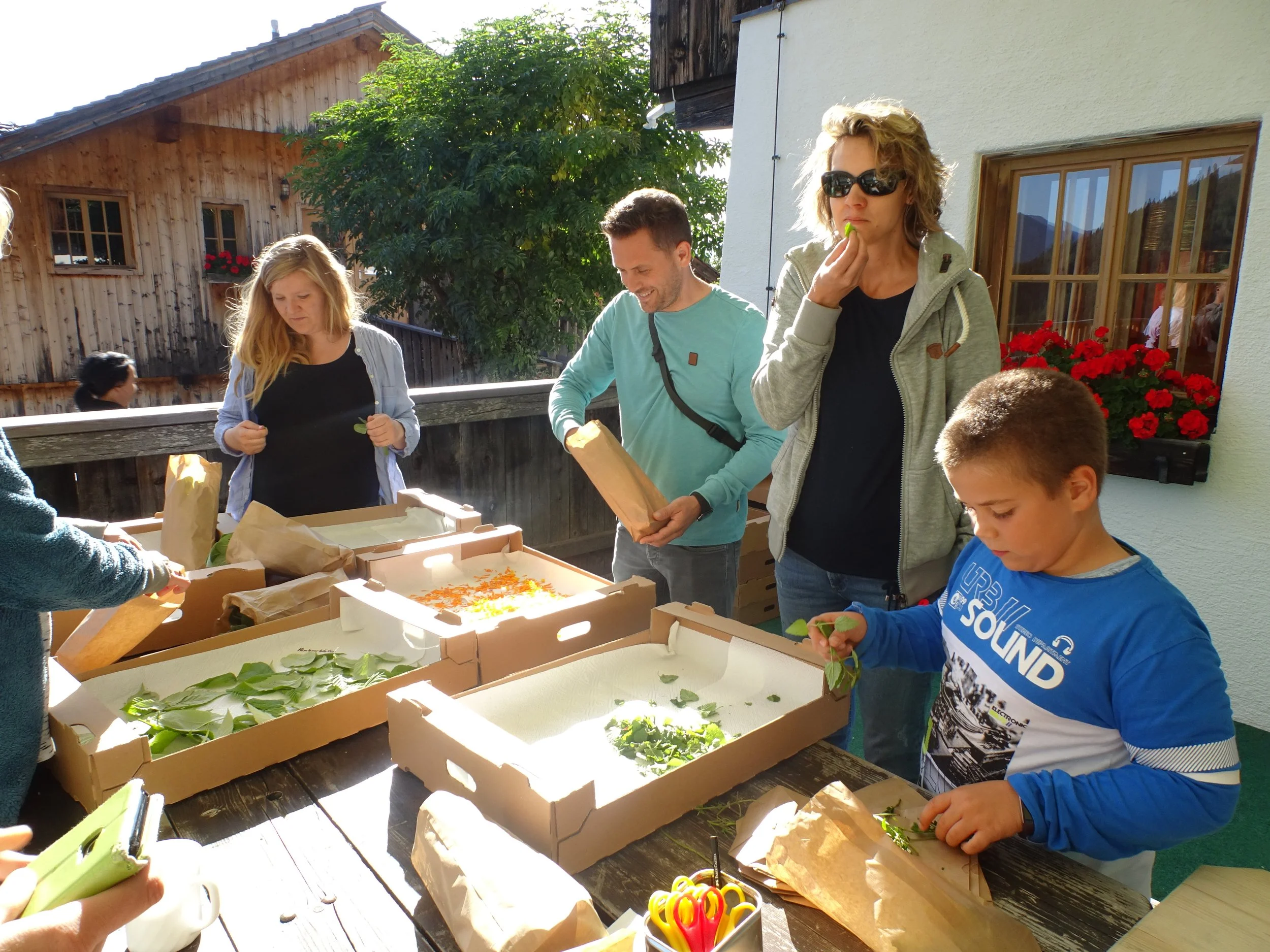 2019_Kräuterernte (5).JPG