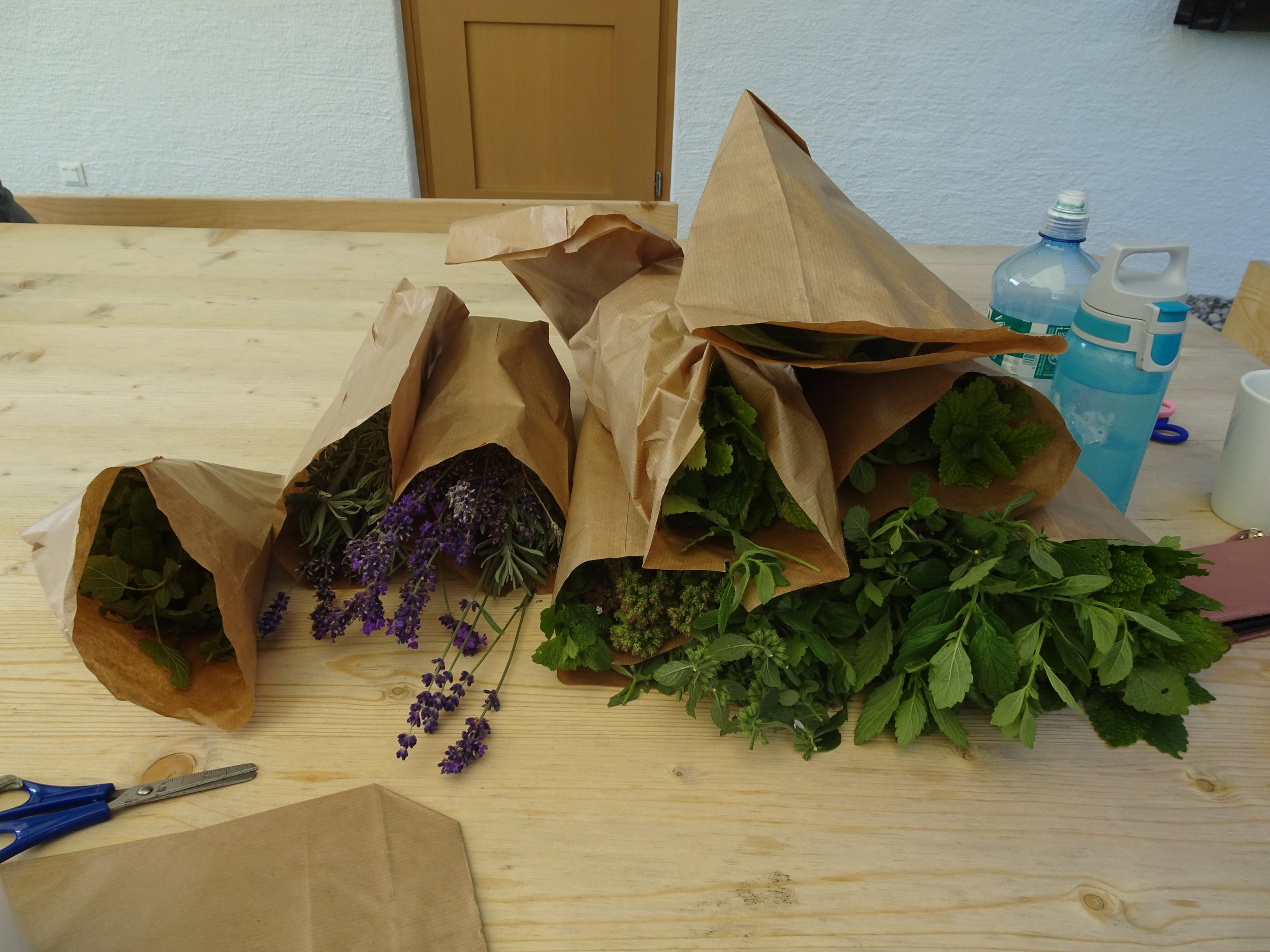 2019_Kräuterernte (31).JPG