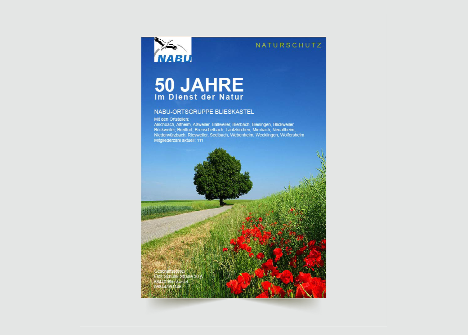 Plakat des NABU zum 50-jährigen Jubiläum, mit einem Bild eines Baumes und einer Blumenwiese im Freien, blauer Himmel im Hintergrund, Text in Deutsch über Naturschutz und die Ortsgruppe Blieskastel.