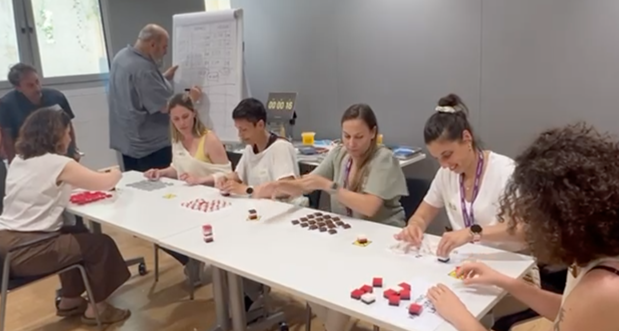 PROJECTE OPDE - SECTOR SALUT