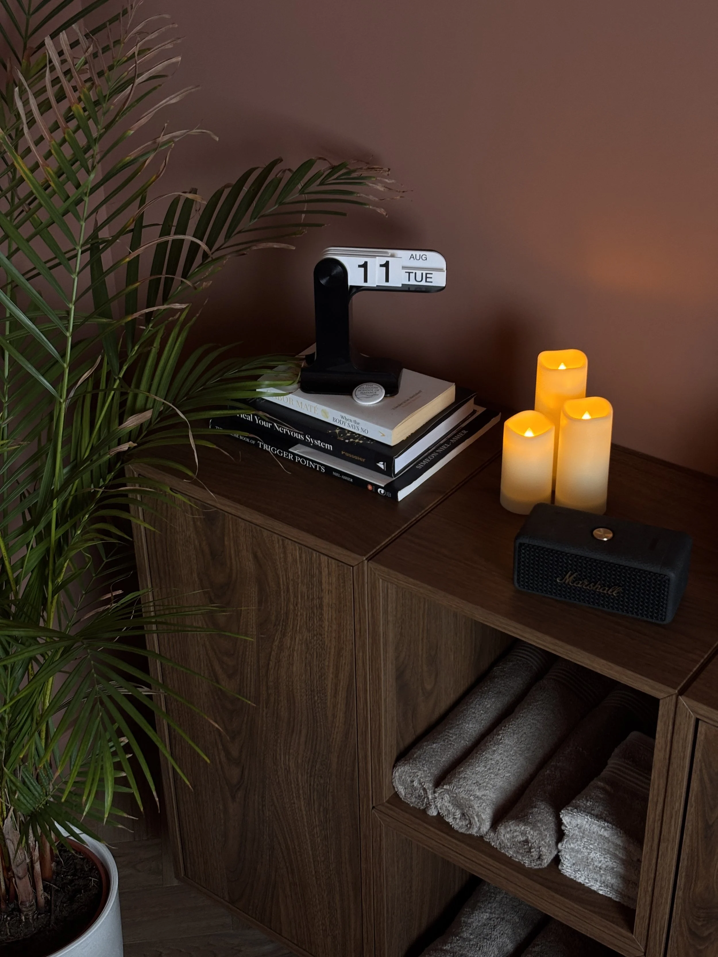 A wooden cabinet with books, a black calendar clock, a group of three lit yellow candles, a Marshall speaker, a rolled-up carpet underneath, and a large green potted plant nearby.