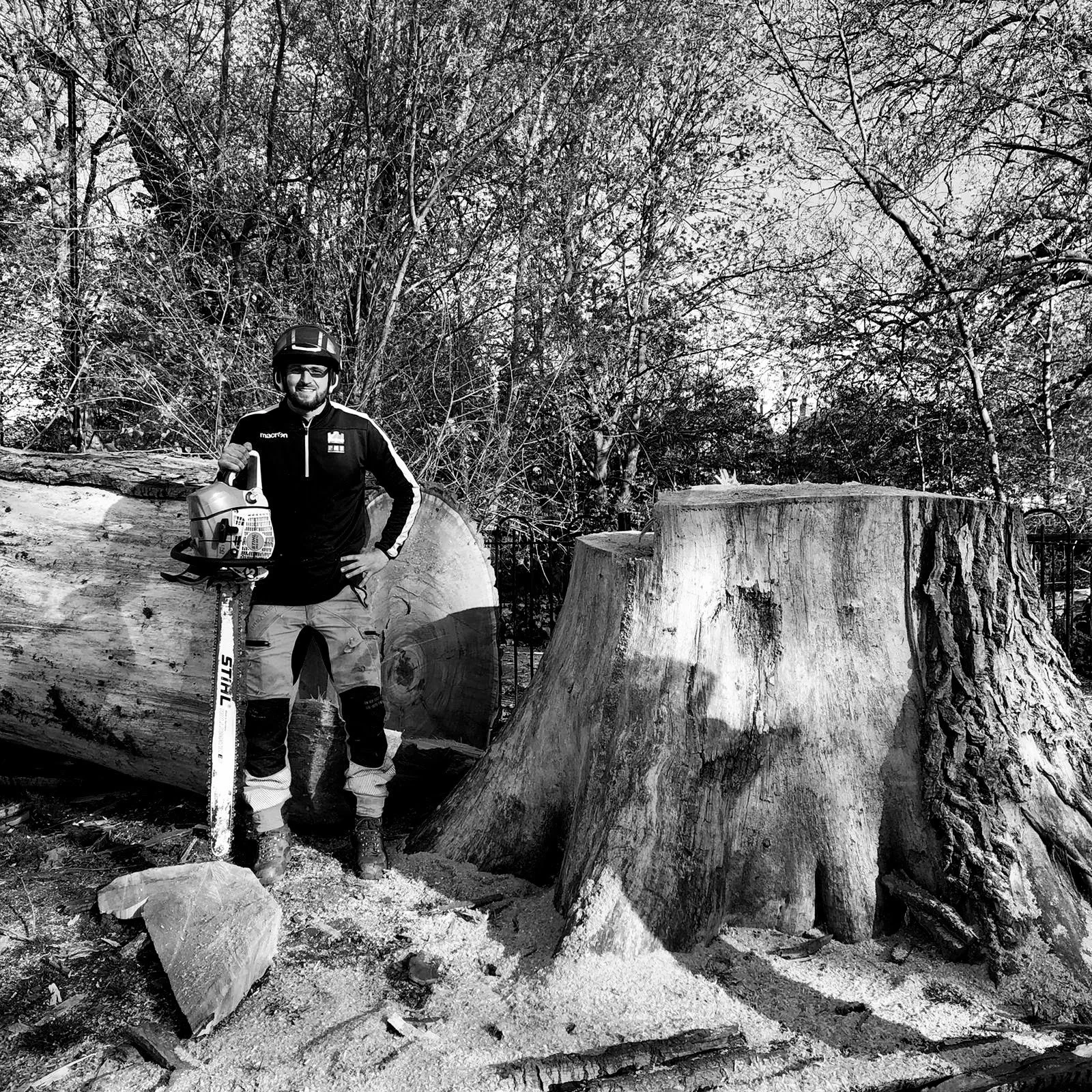 EXPERT TREE REMOVAL & TECHNICAL DISMANTLING