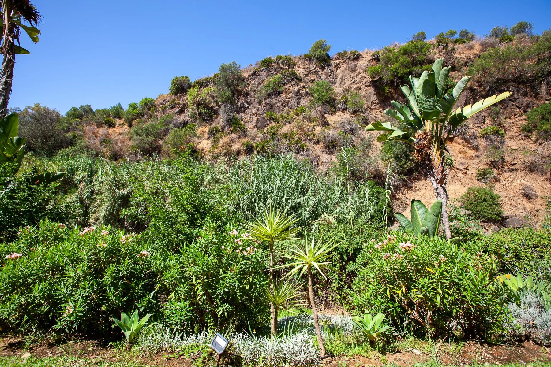 Pueblo del Rio Marbella apartments  (10 of 15).jpg