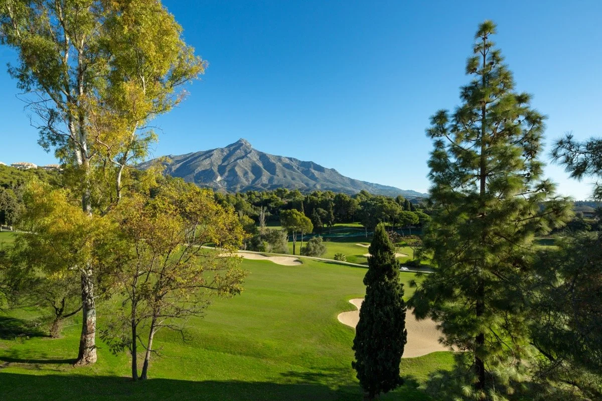 Luxury 5 Bed Villa in Aloha, Nueva Andalucia _ CMH1424S03.jpg