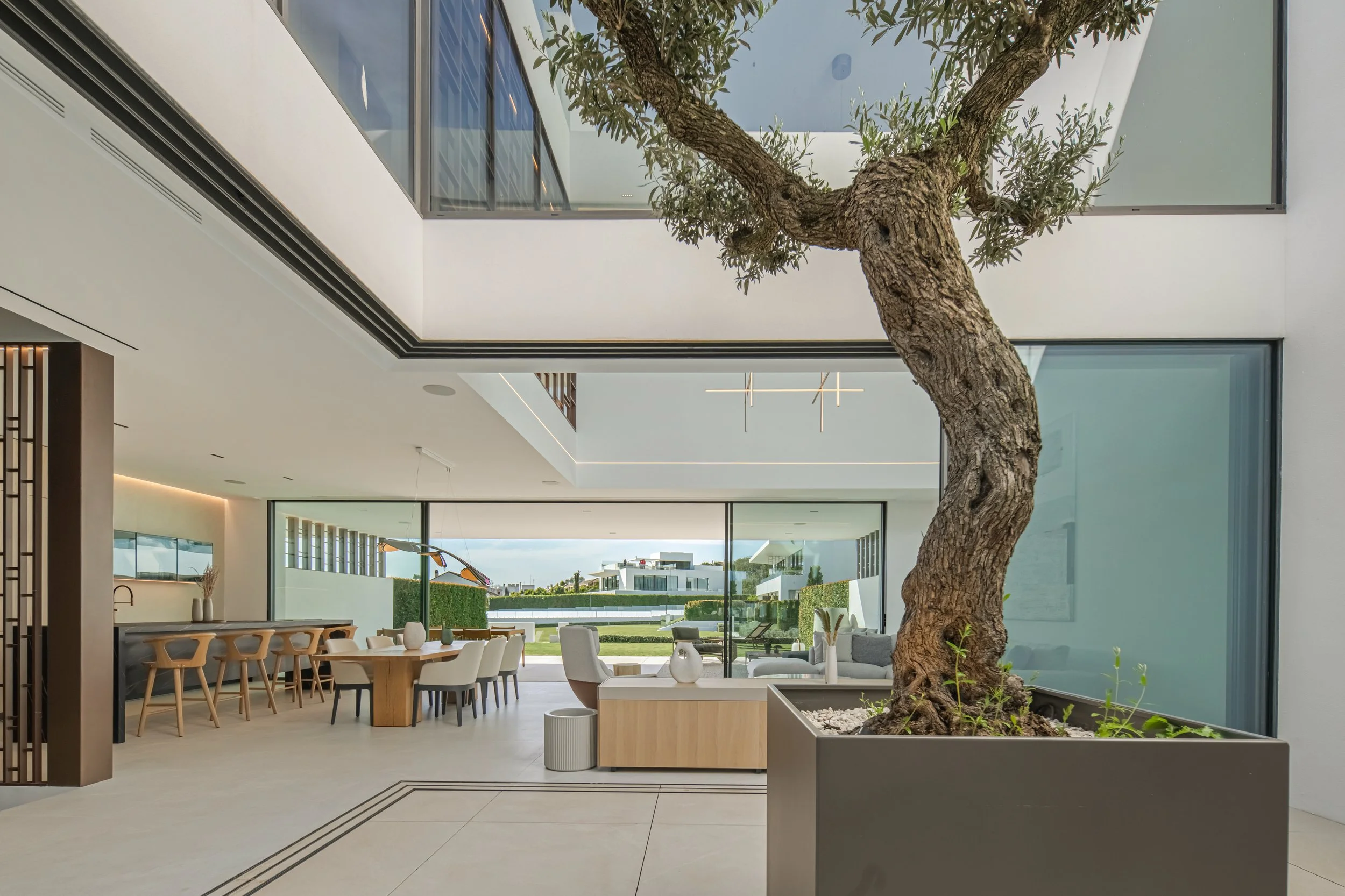 Unique interior glass courtyard featuring a mature olive tree installation, blending nature with modern architecture.