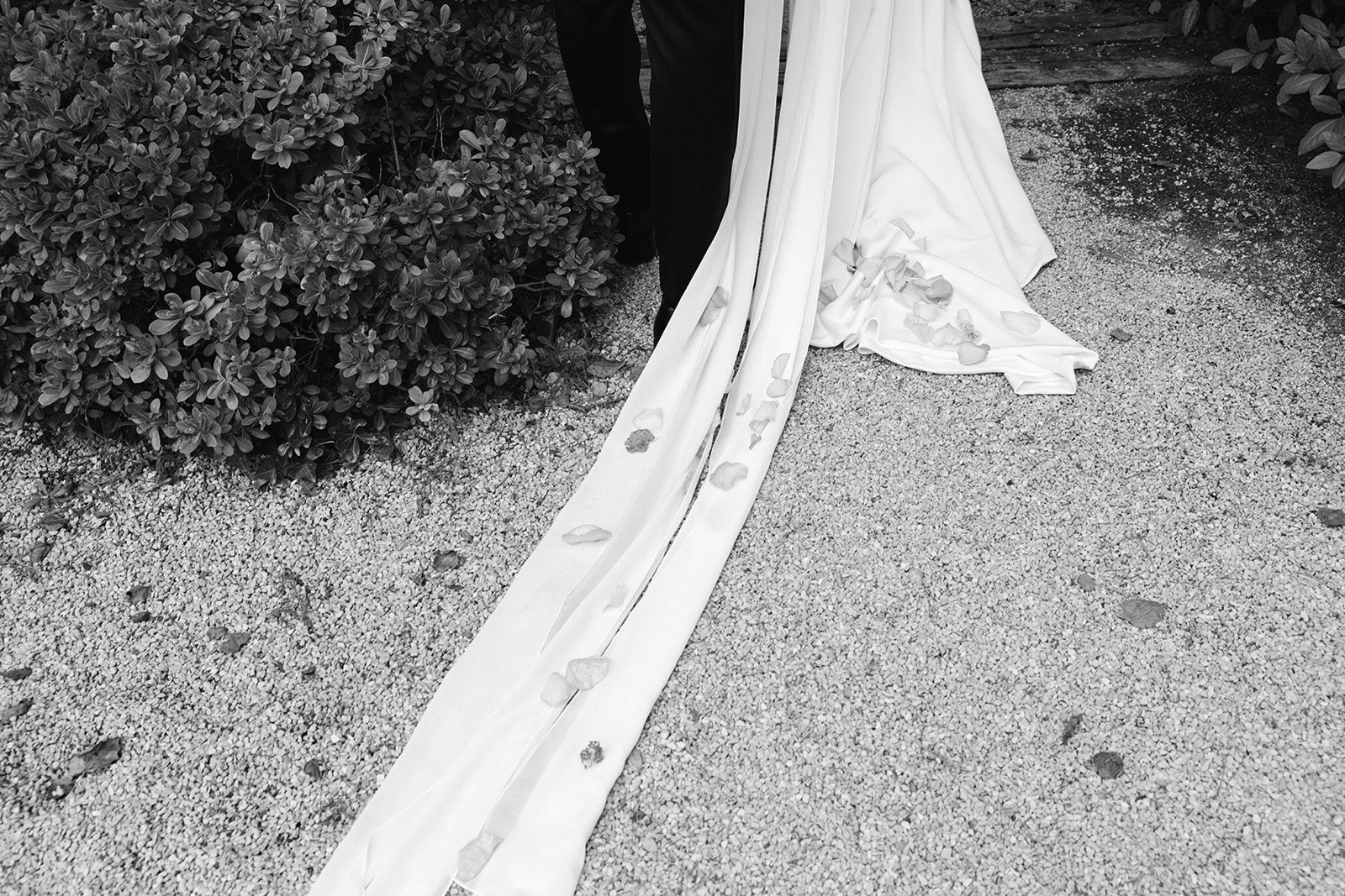 Wedding dress with a long train lying on gravel, with rose petals scattered on it.