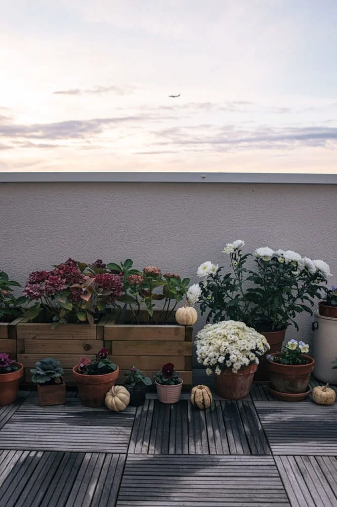 Ma décoration balcon d'automne