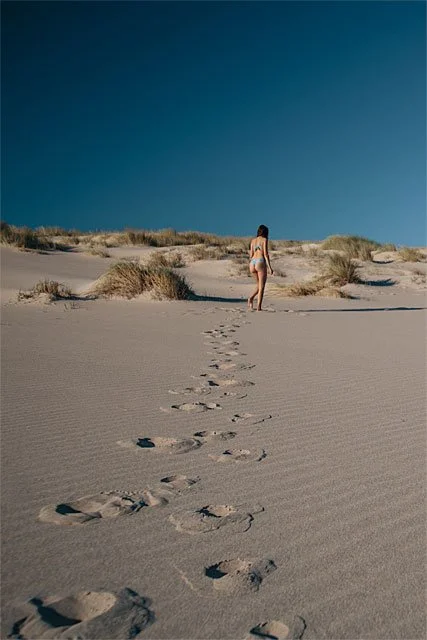 Qu’est-ce que l’empreinte carbone ?