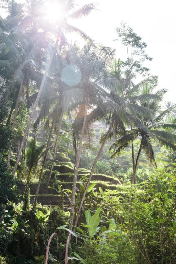 L'Anthropocène, c'est quoi ?