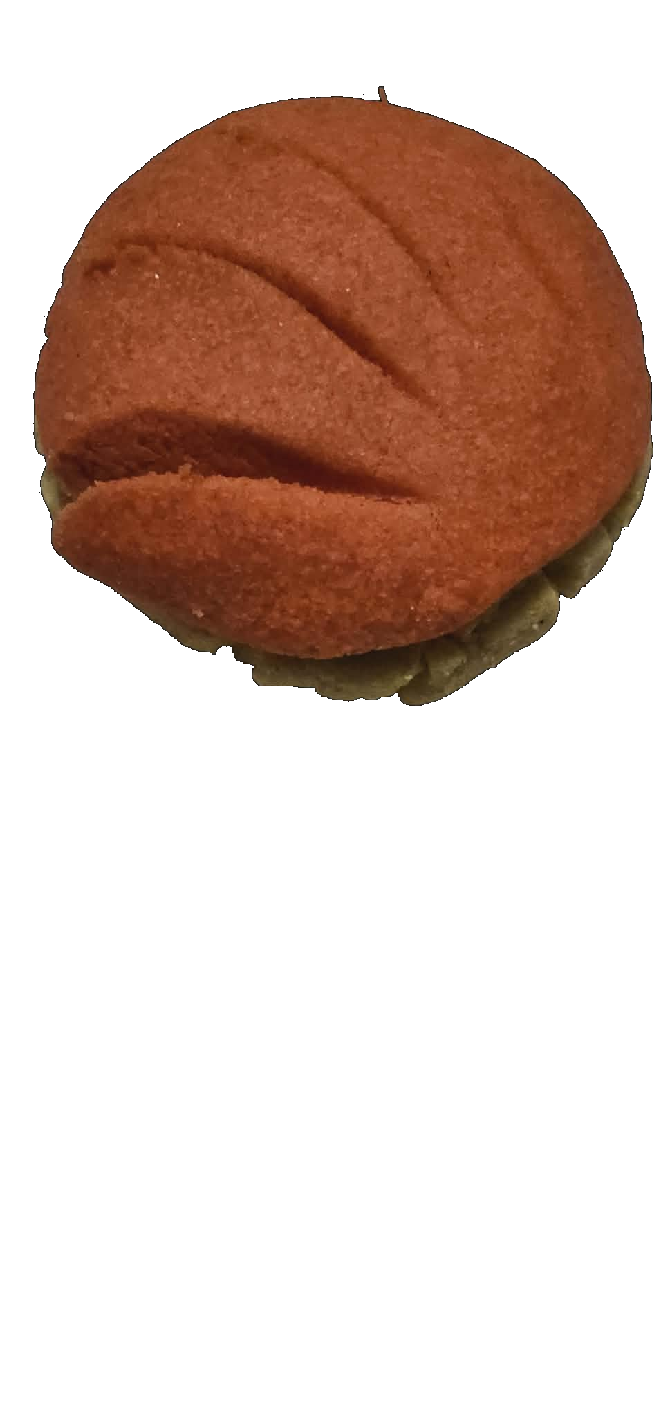 Concha Cookie (Dozen)