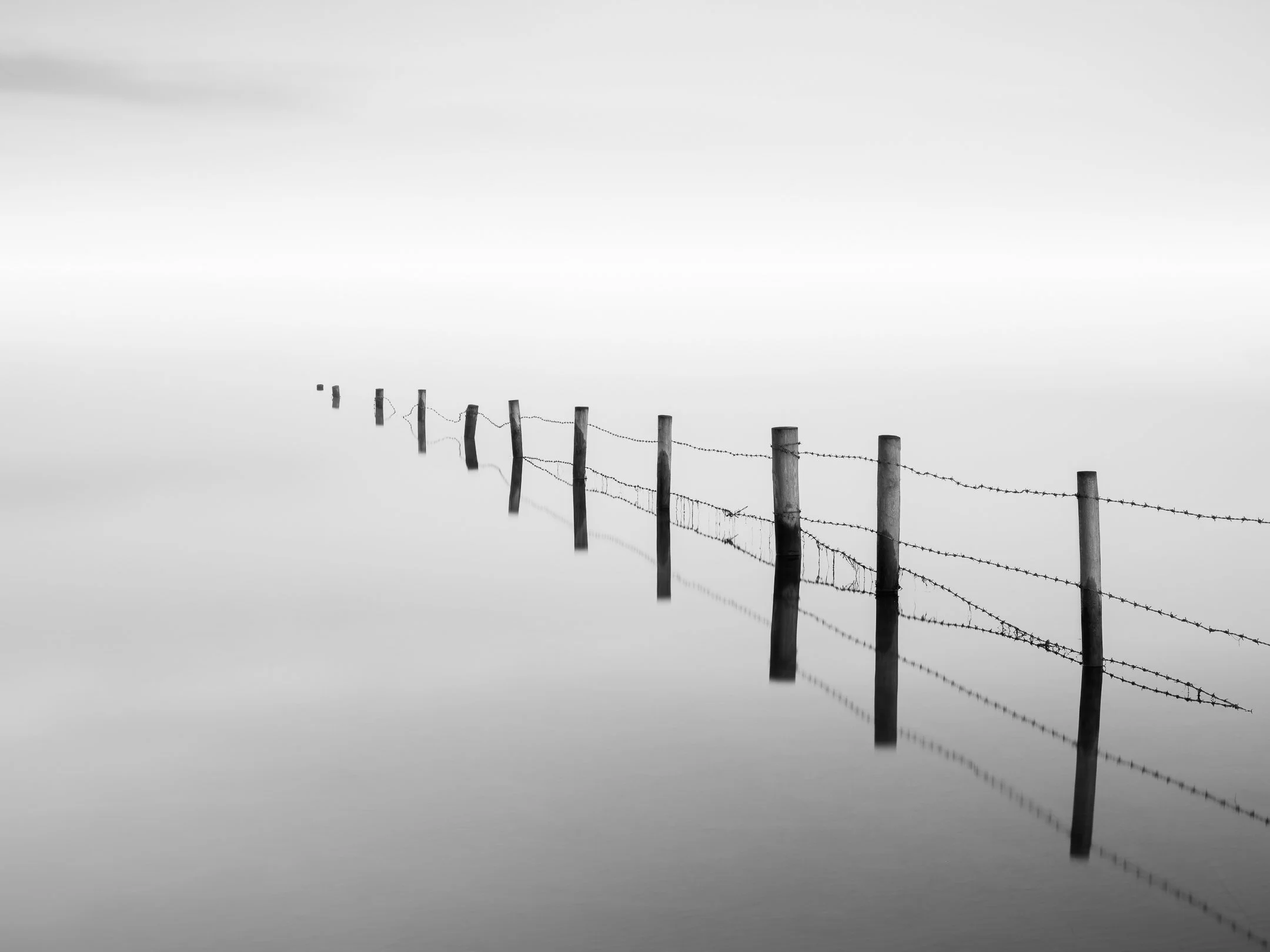 barbed wire, black and white, long exposure