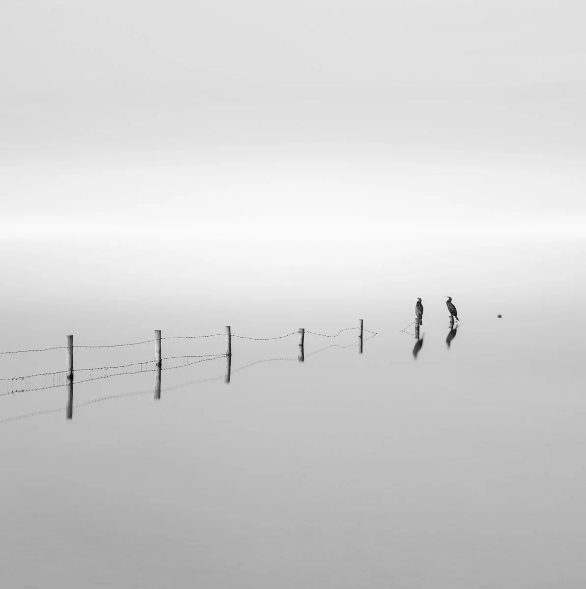award winning fine art minimalist photo