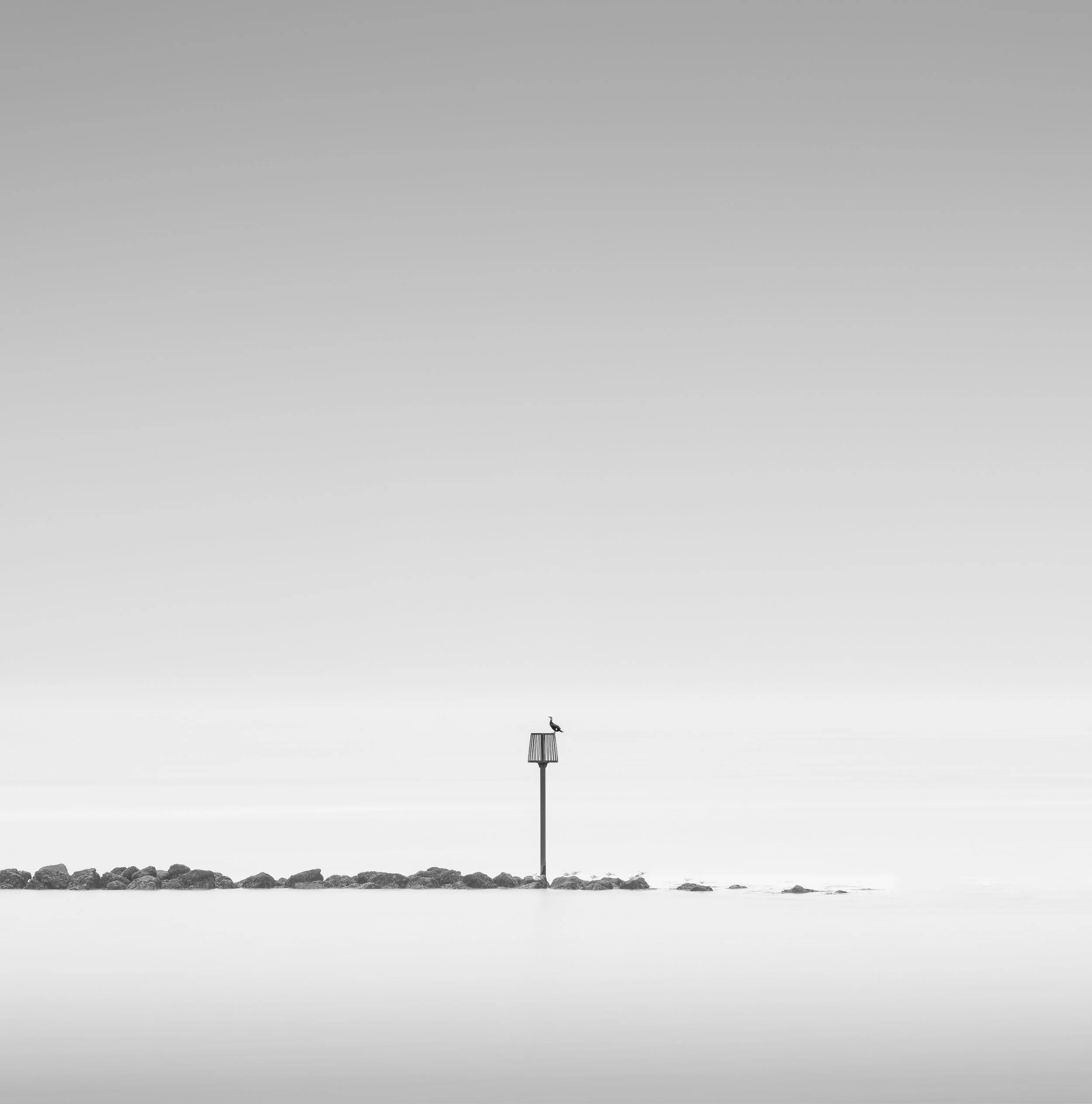 A black and white photo of a cormorant standing on top of a small coastal marker near rocks at the water's edge.