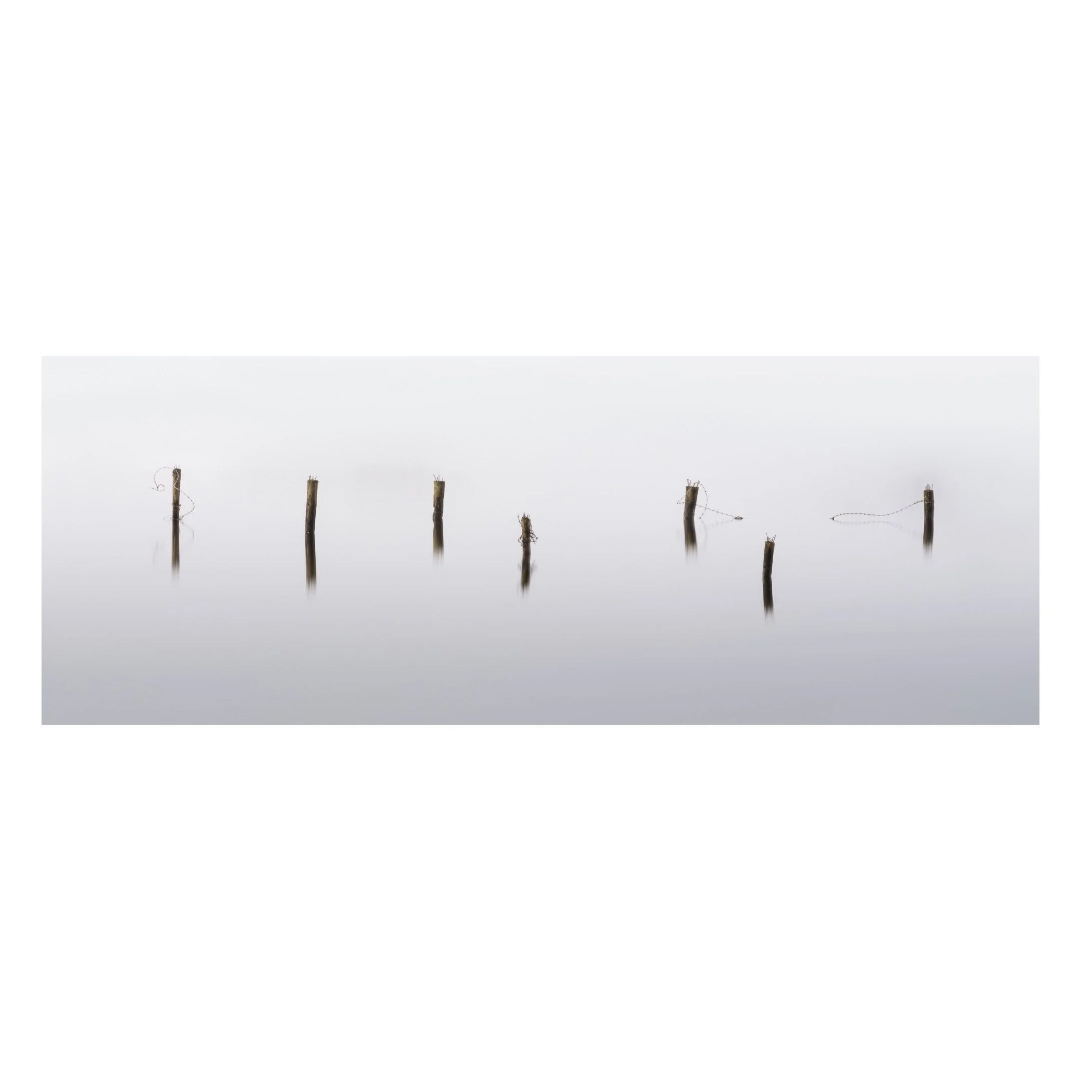 panoramic, posts, award winning