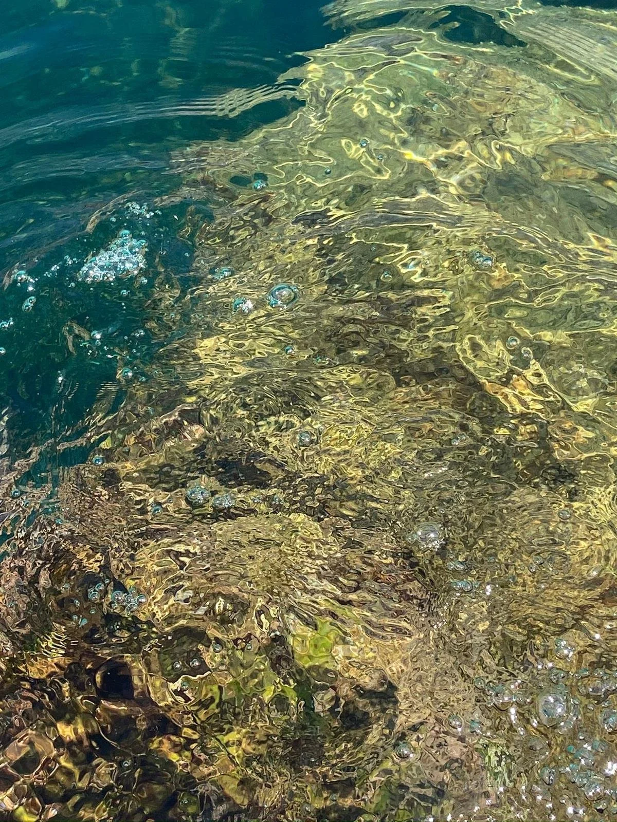 WhatsApp Image 2026-03-05 at 14.09.21.jpeg