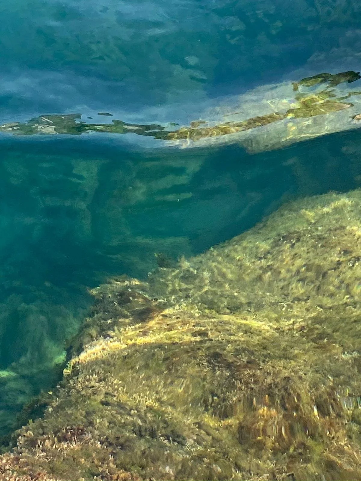 WhatsApp Image 2026-03-05 at 14.09.21 (1).jpeg