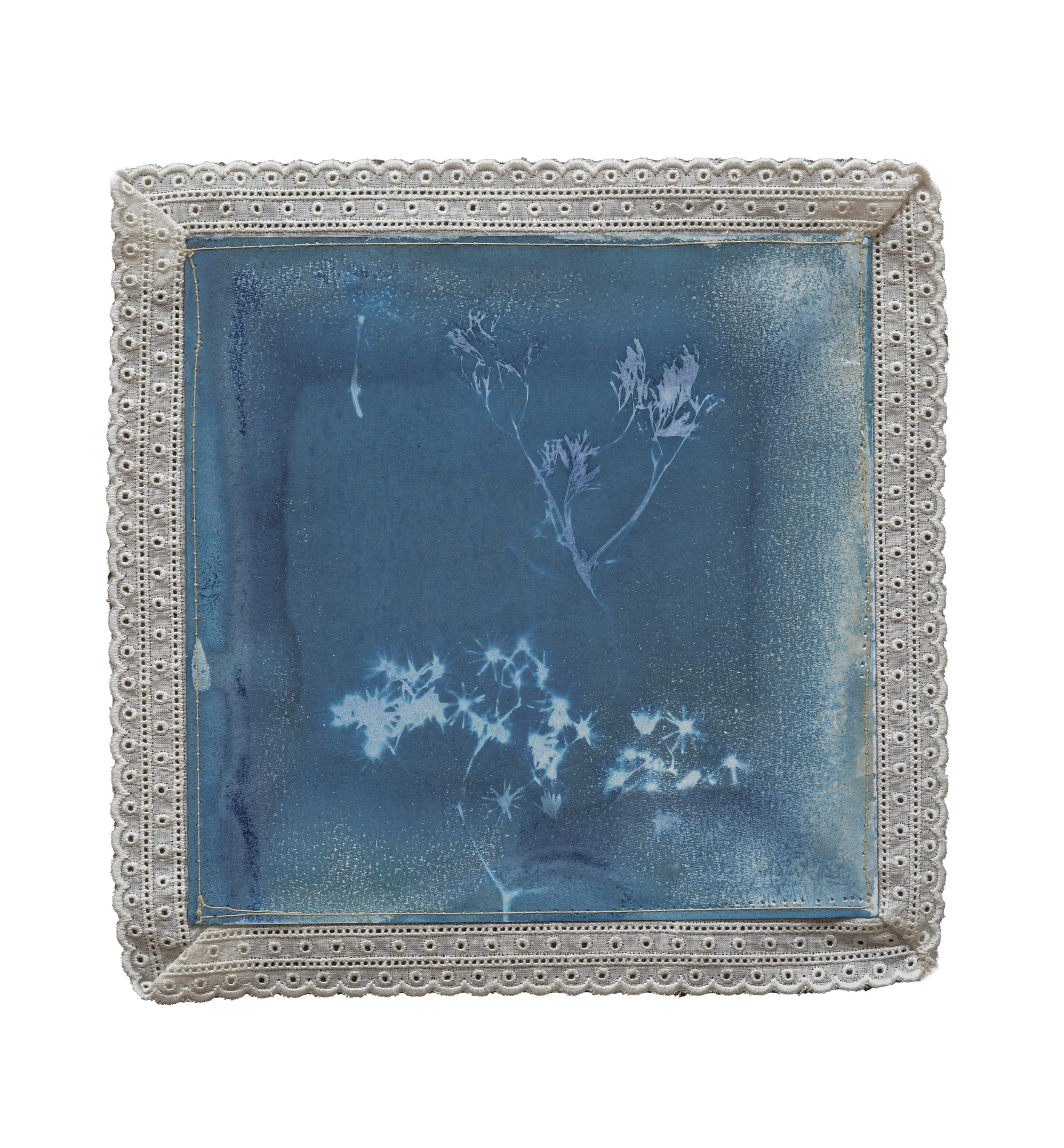 toile 5